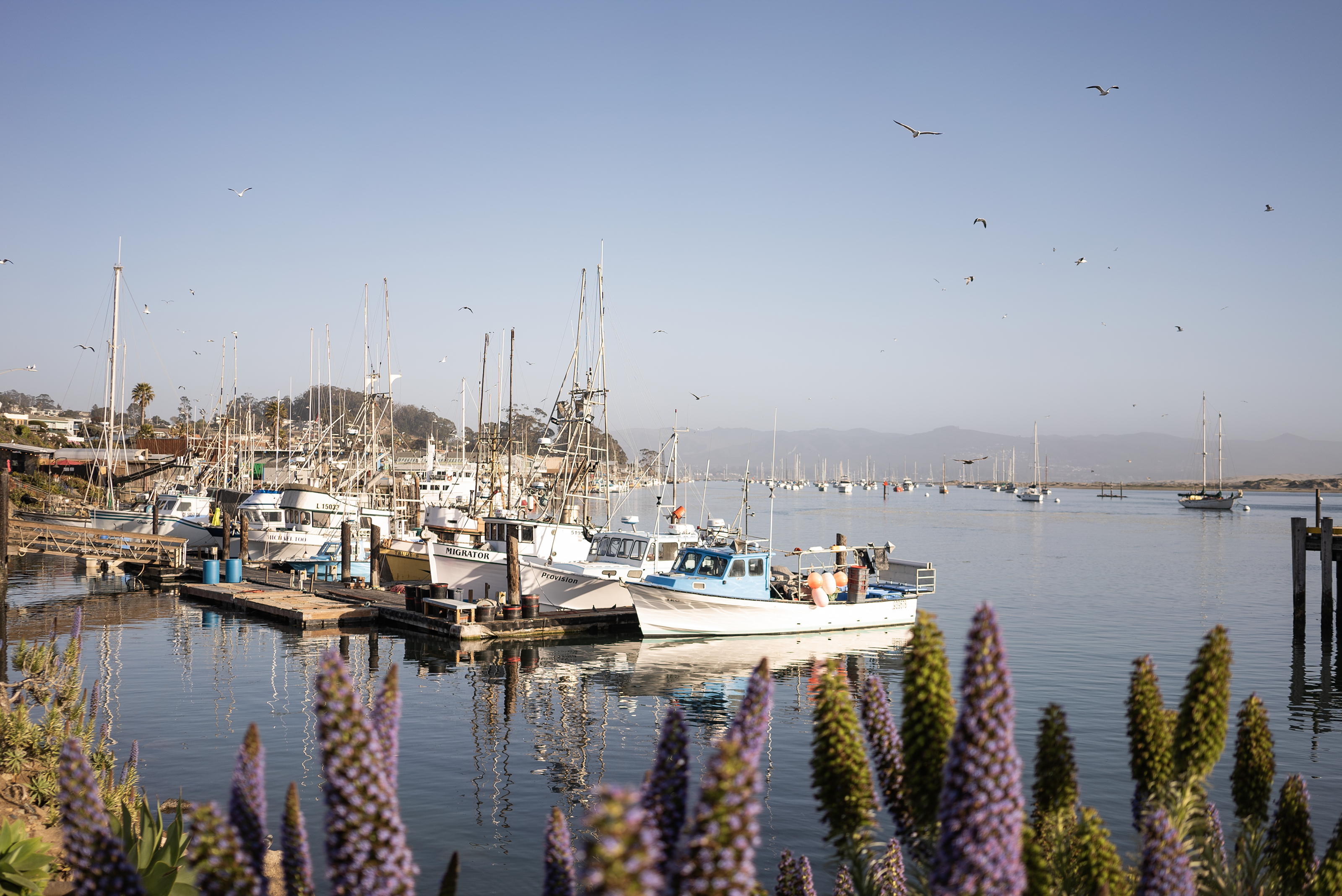 SAN LUIS OBISPO COUNTY