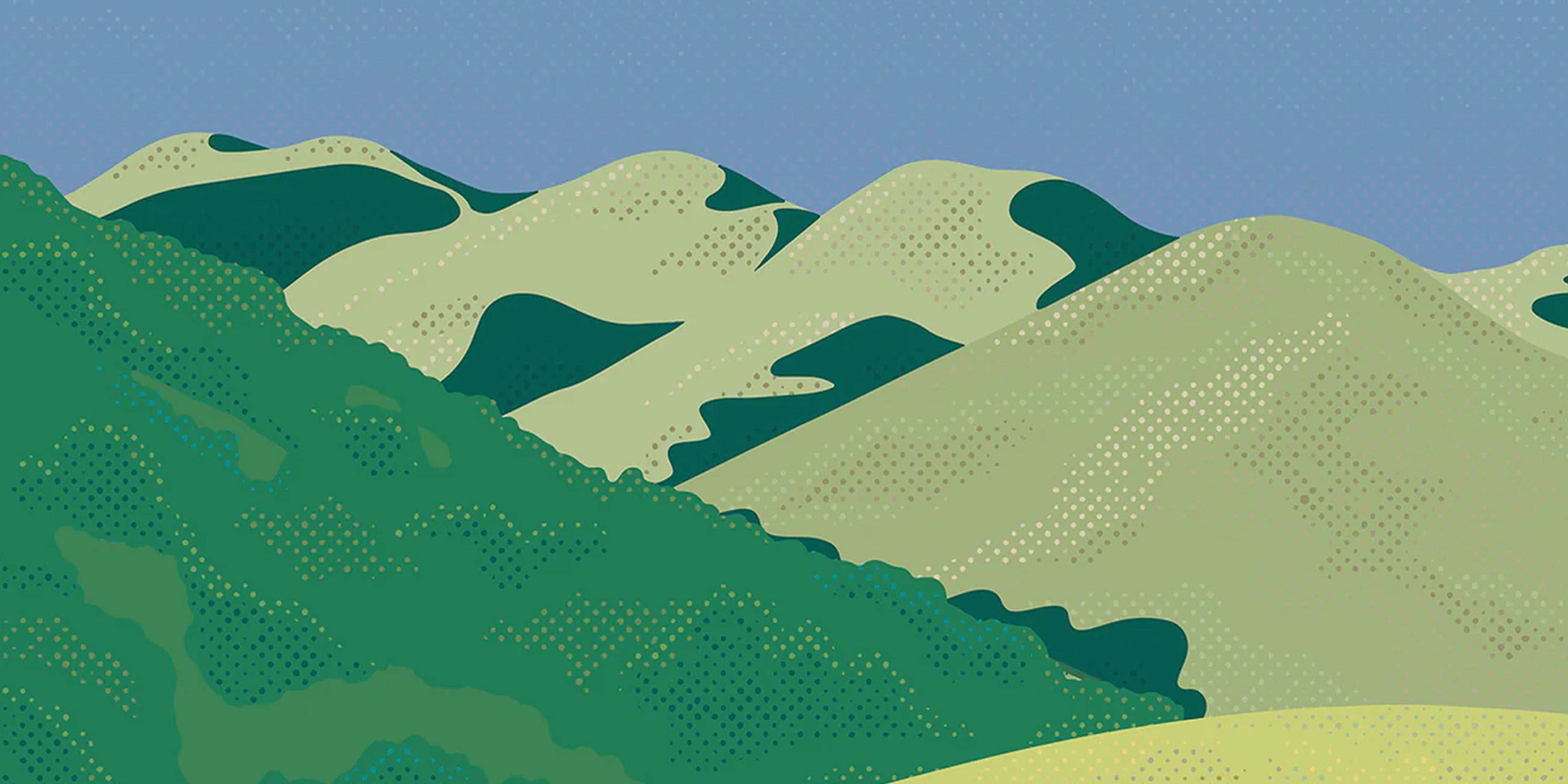 ALL ILLUSTRATIONS