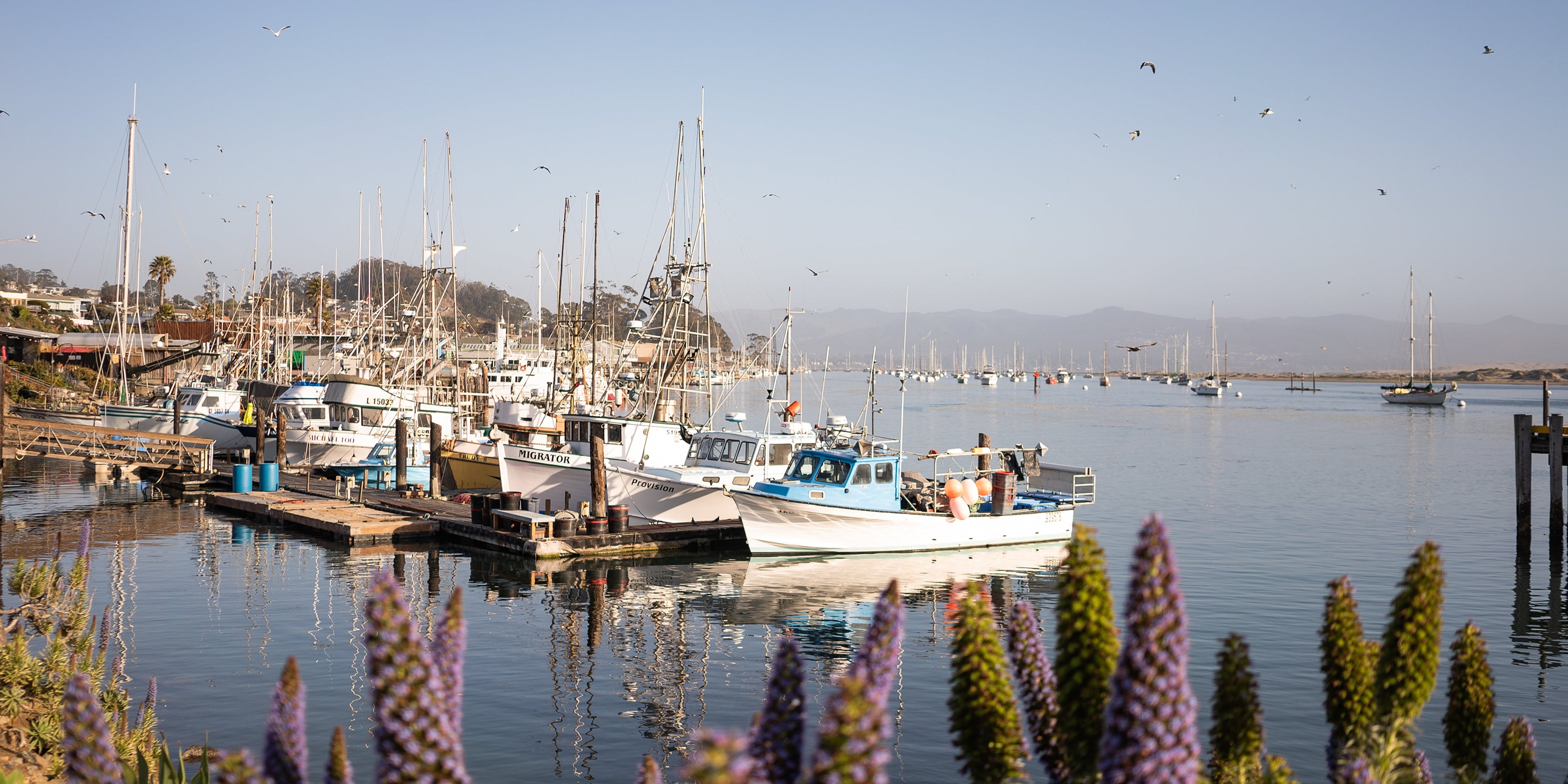 SAN LUIS OBISPO COUNTY