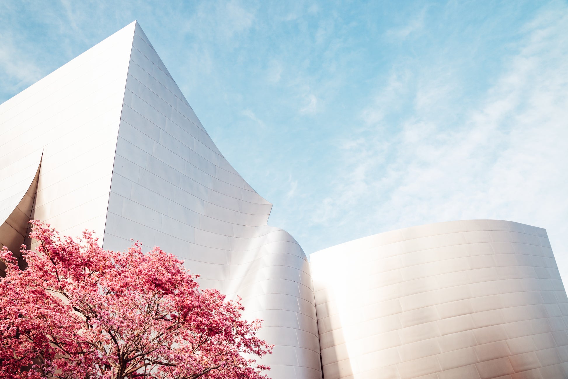 WHERE THE MAGIC HAPPENS PRINT