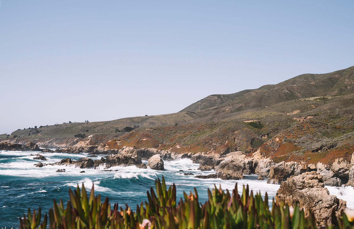 CENTRAL COAST CLIFFS