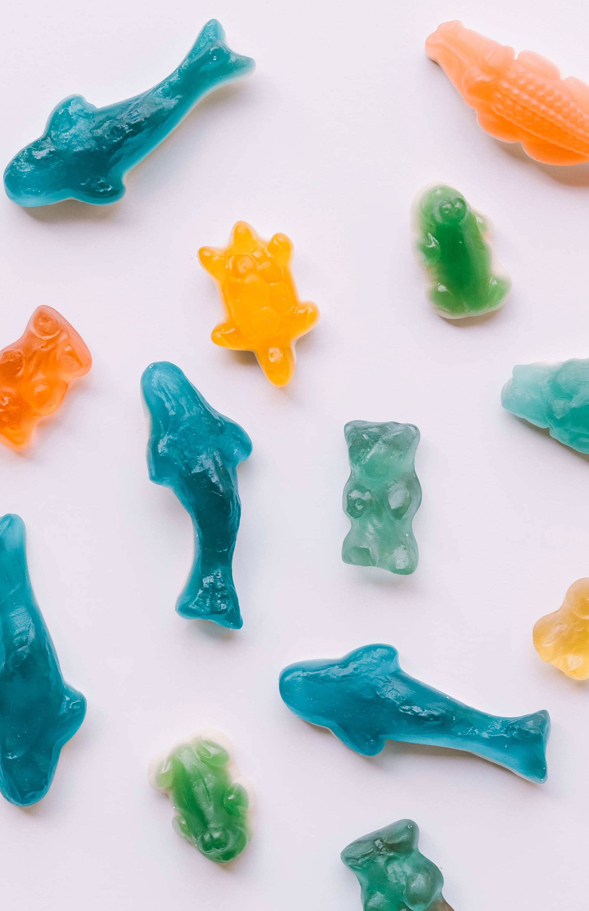 C'EST BONBON COLORFUL ANIMALS GUMMIES
