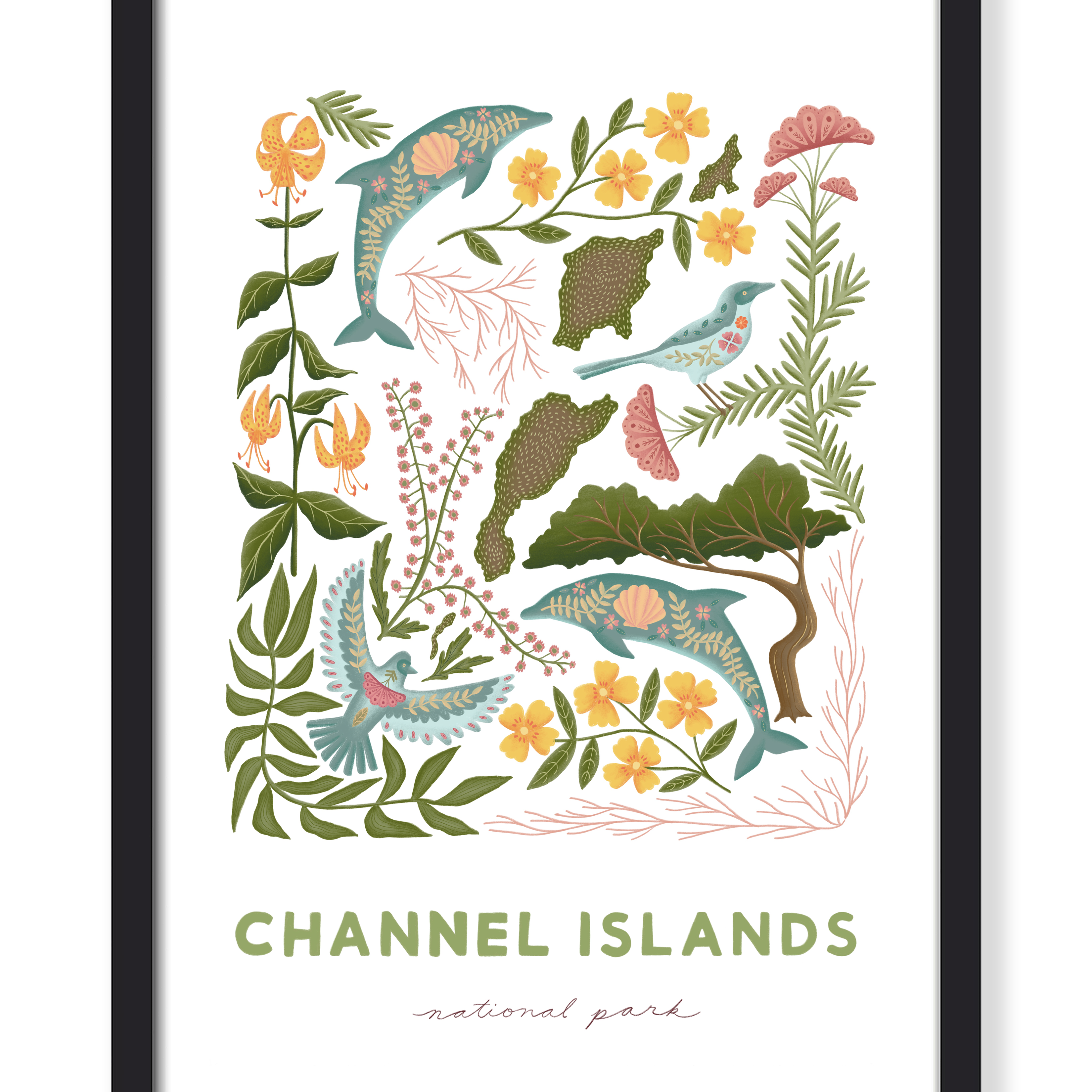 Printable Rark CHANNEL ISLAND NATIONAL PARK PRINT - Illustration Art - Buen Dia