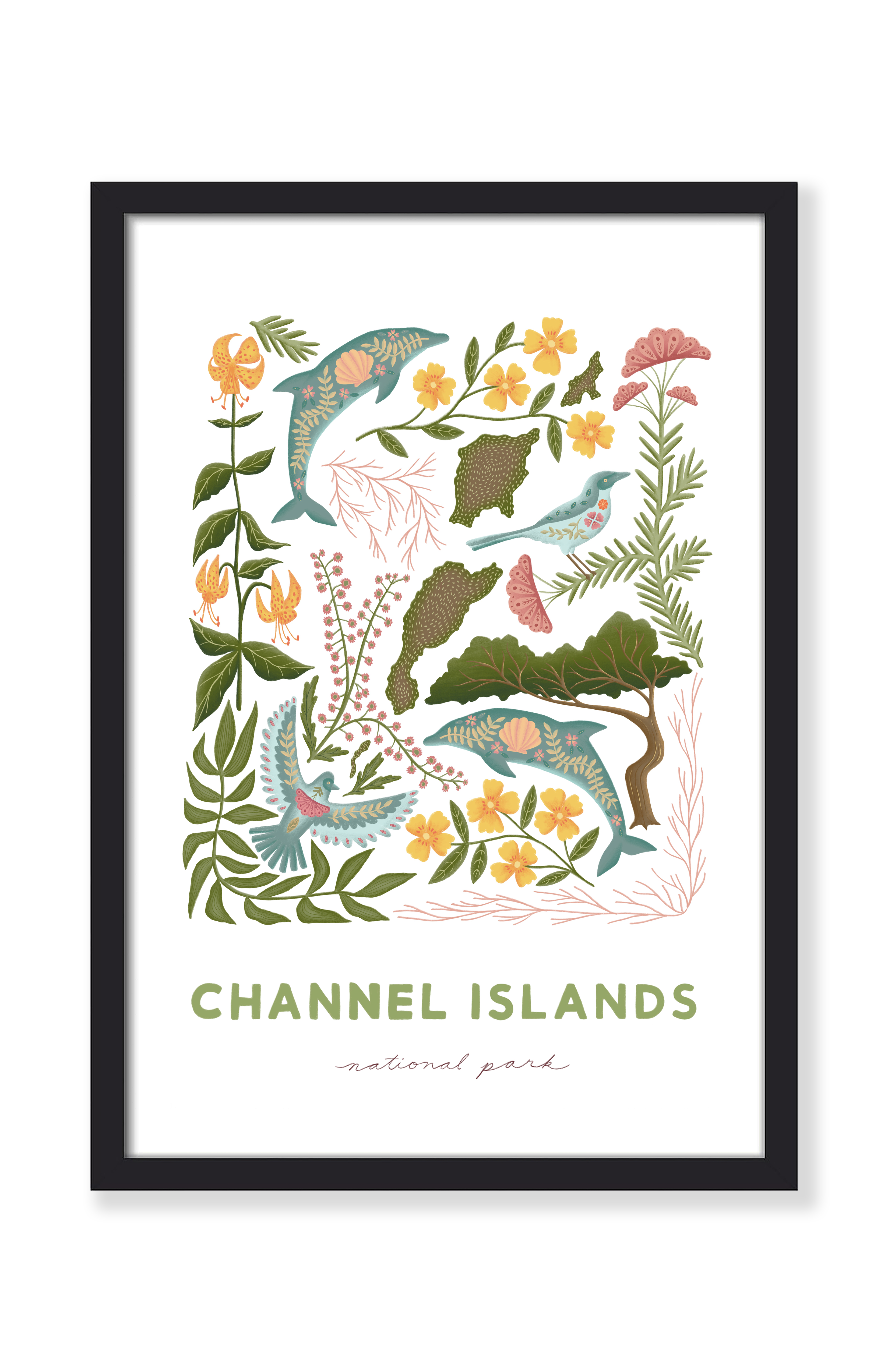 CHANNEL ISLANDS NATIONAL PARK PRINT