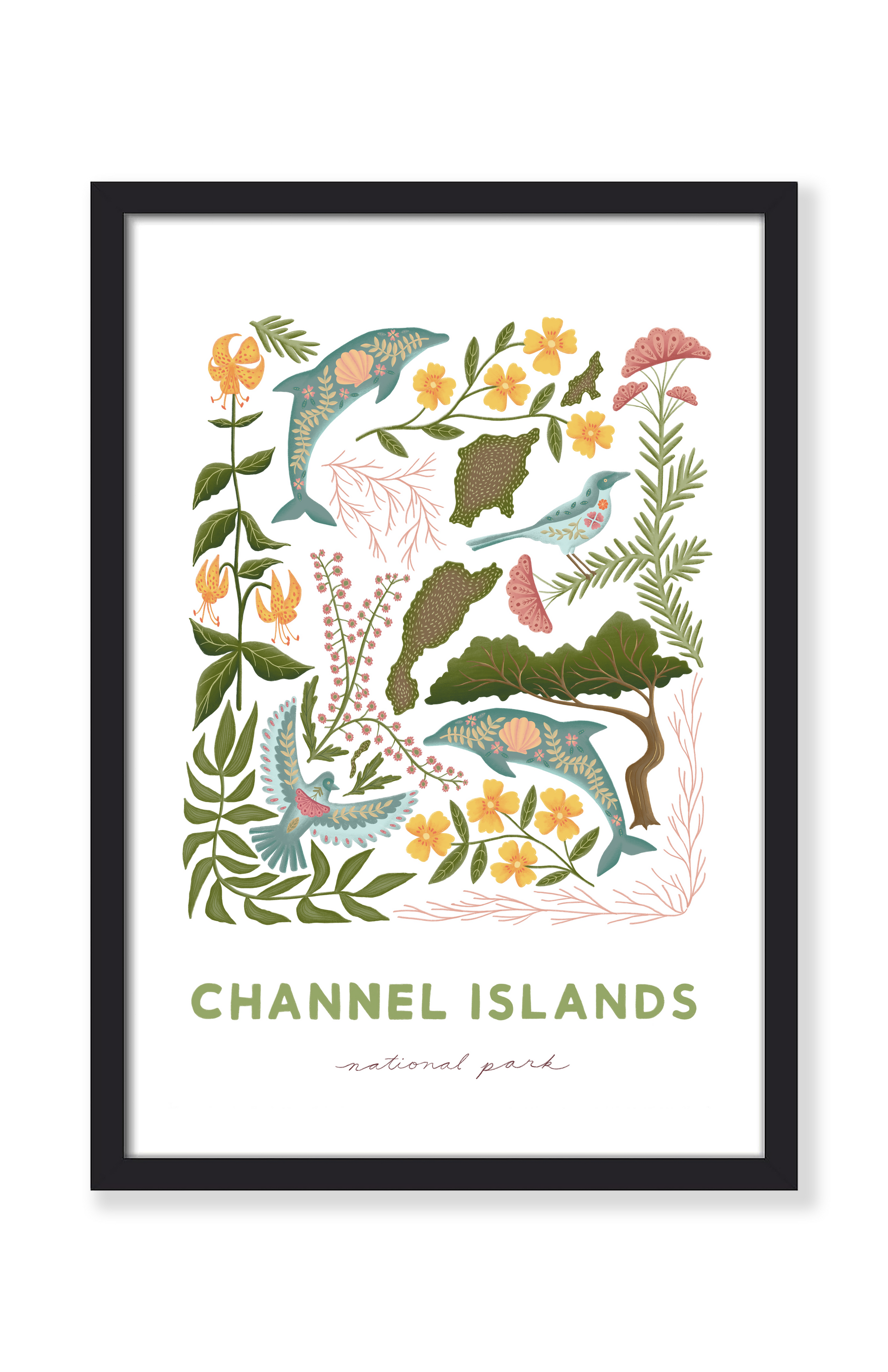 CHANNEL ISLANDS NATIONAL PARK PRINT