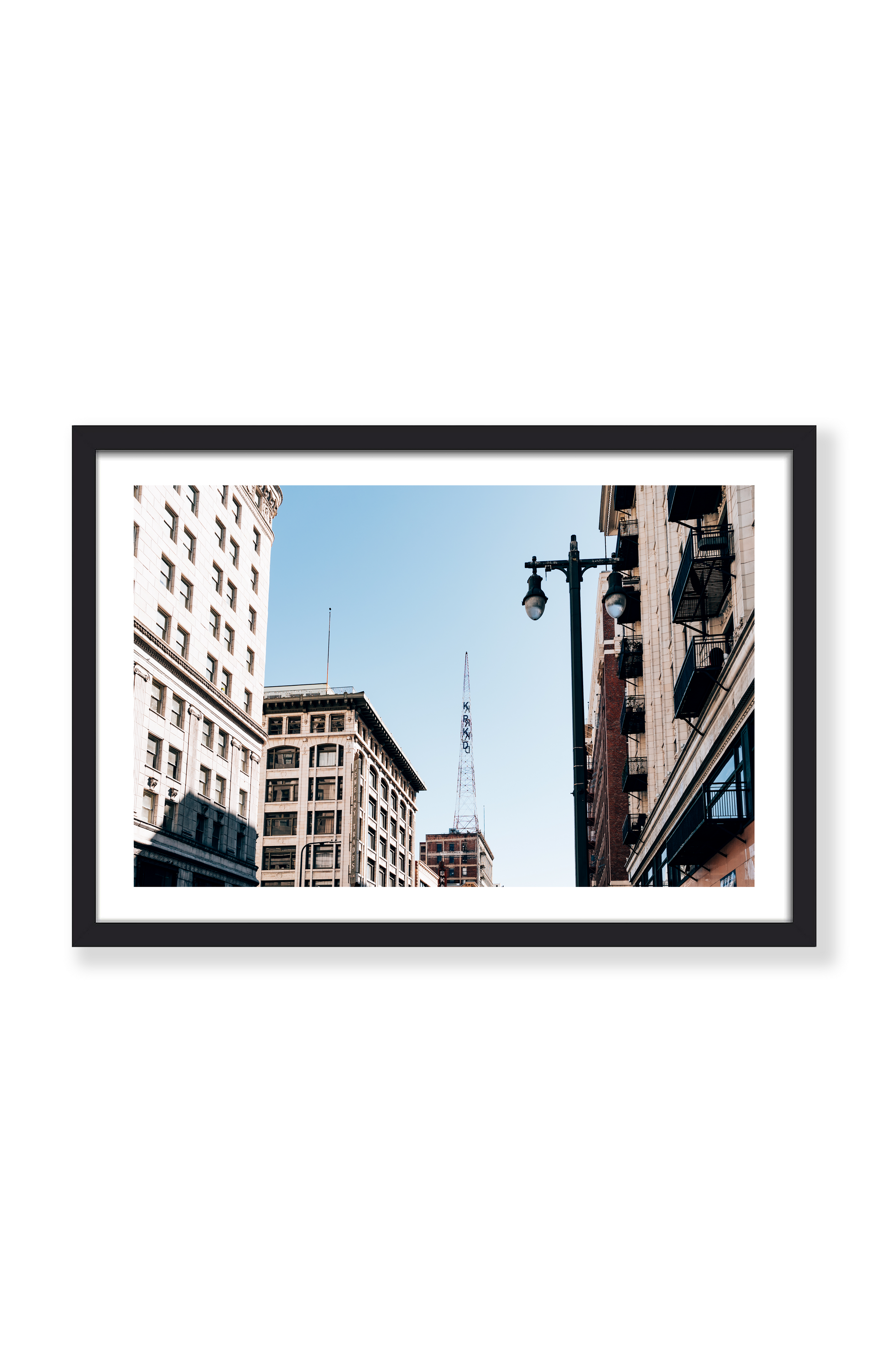 CONCRETE JUNGLE PRINT