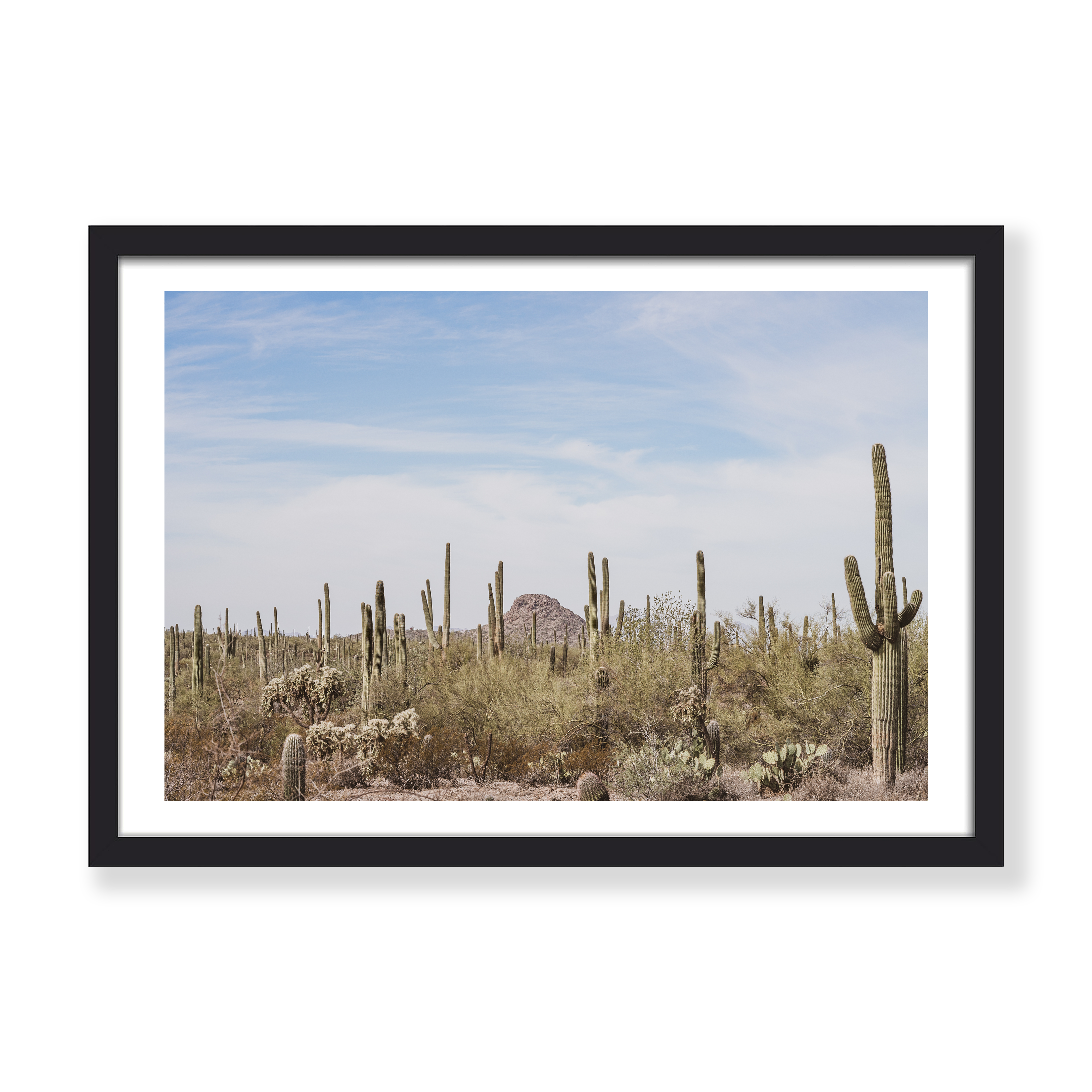 ARIZONA LOCALS PRINT