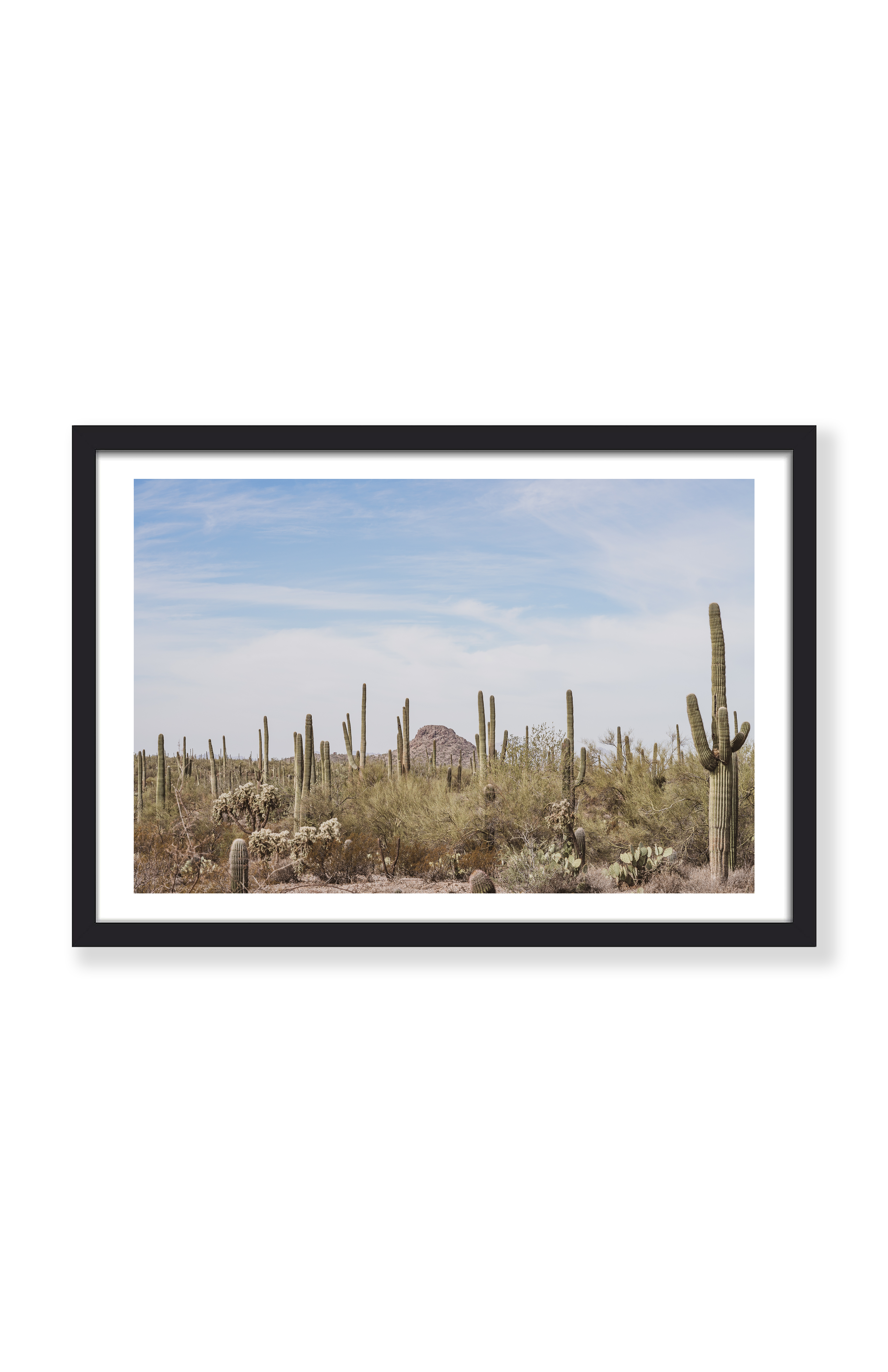 ARIZONA LOCALS PRINT
