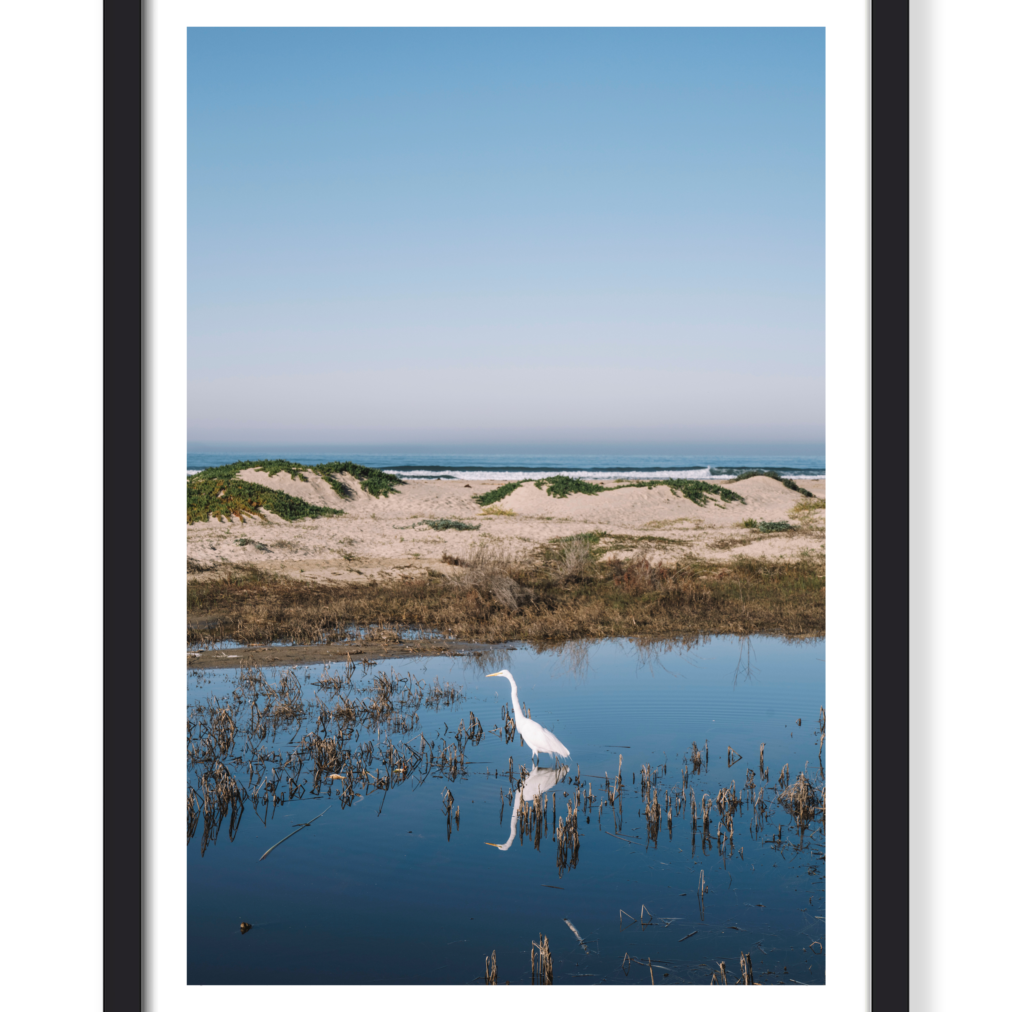 COASTAL EGRET PRINT