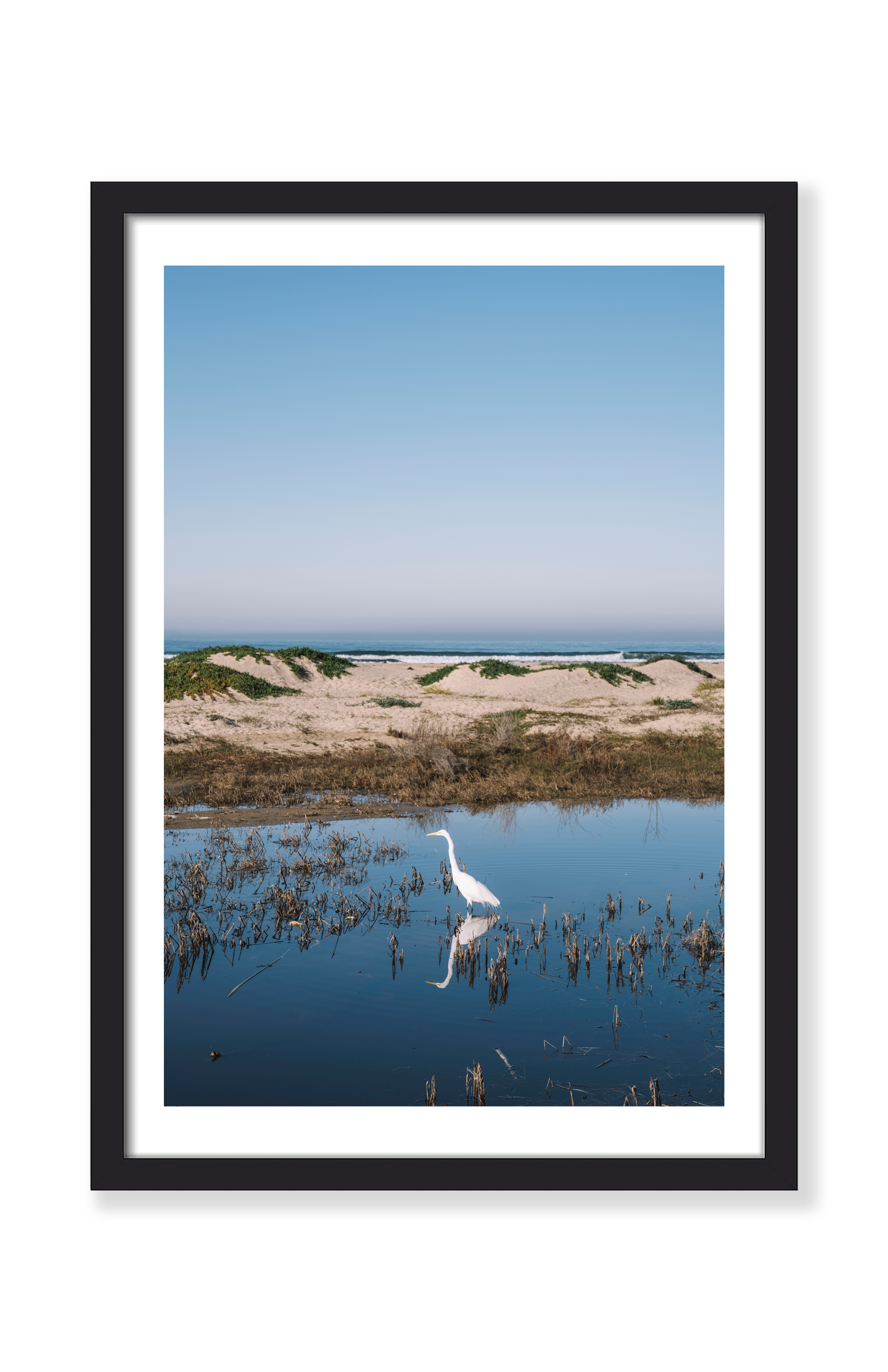 COASTAL EGRET PRINT