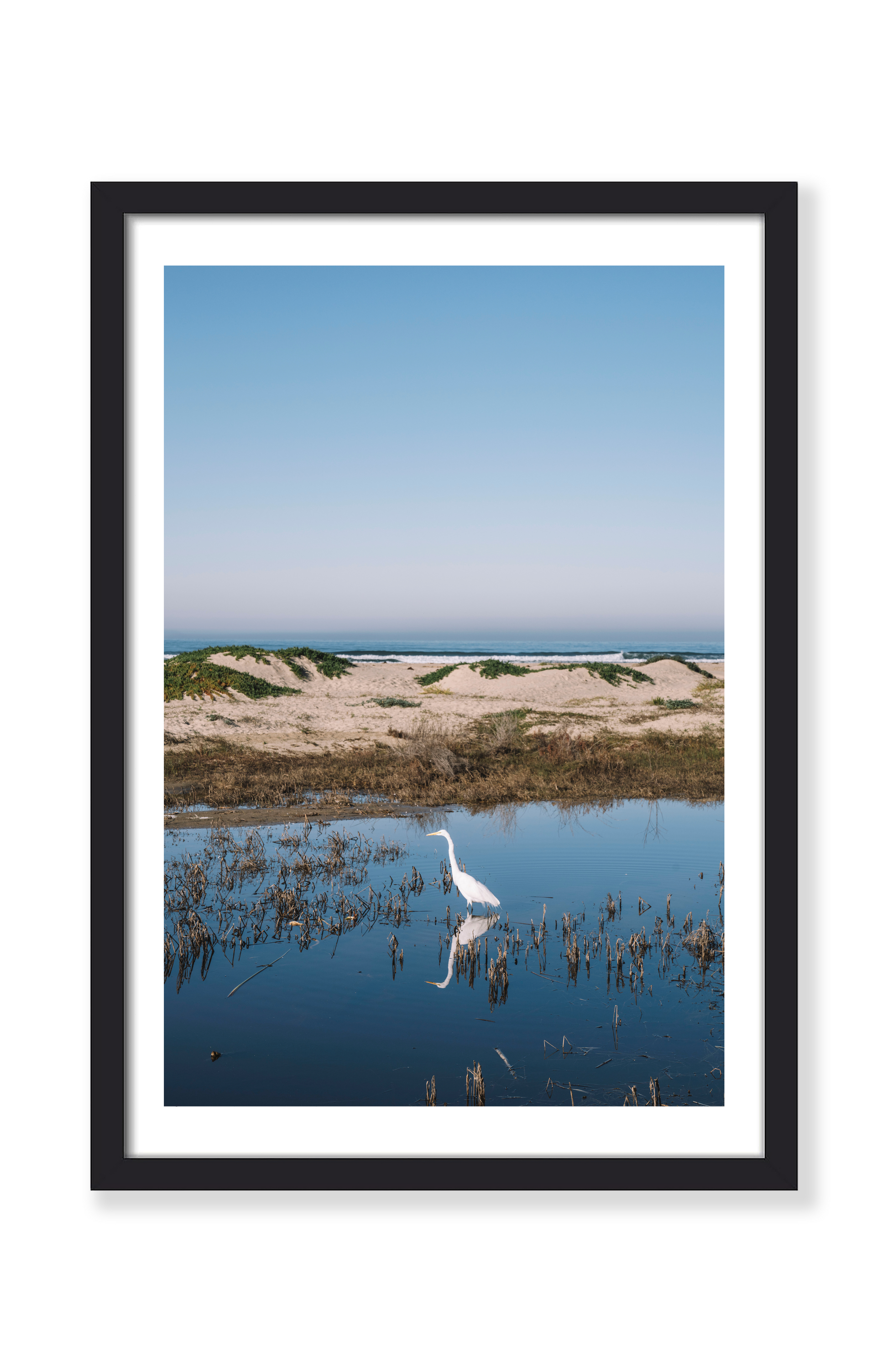 COASTAL EGRET PRINT