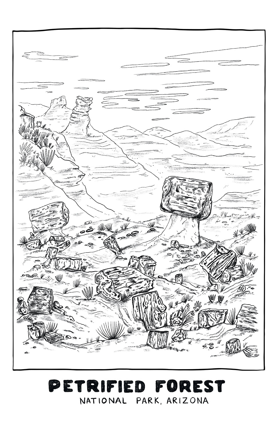 PETRIFIED FOREST PRINT