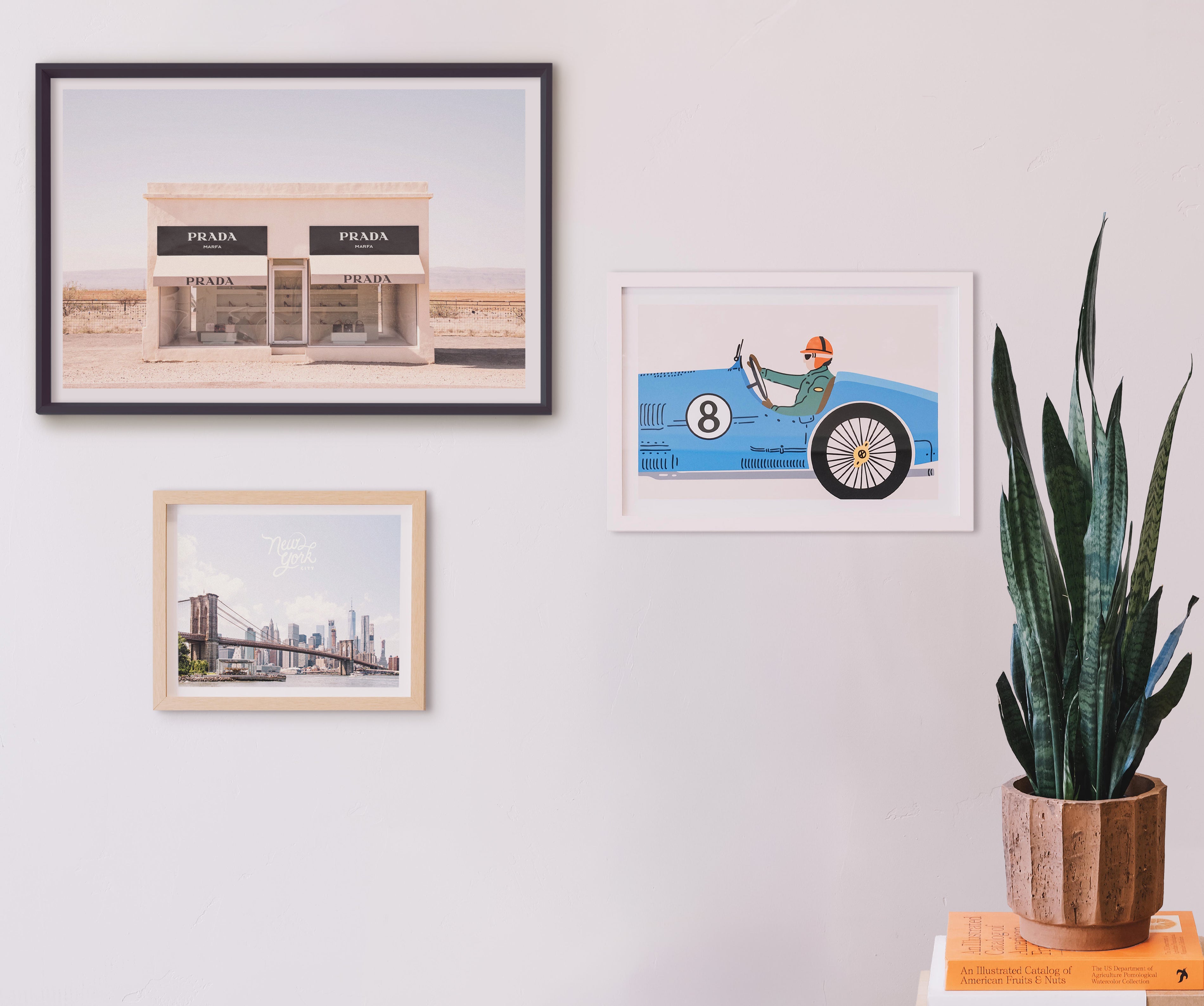 Wall art configuration with framed art prints featuring photos and illustration. Buen Dia art prints San Luis Obispo.