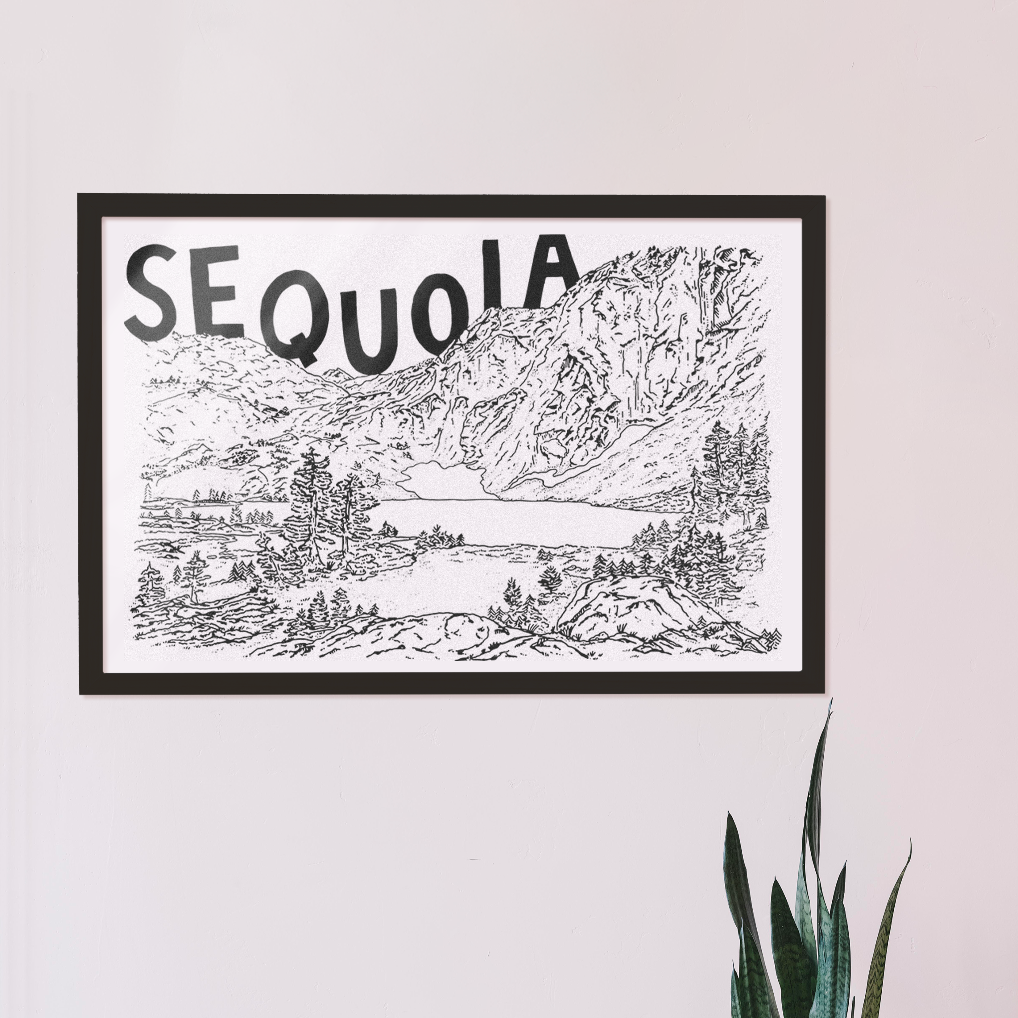 SEQUOIA PRINT