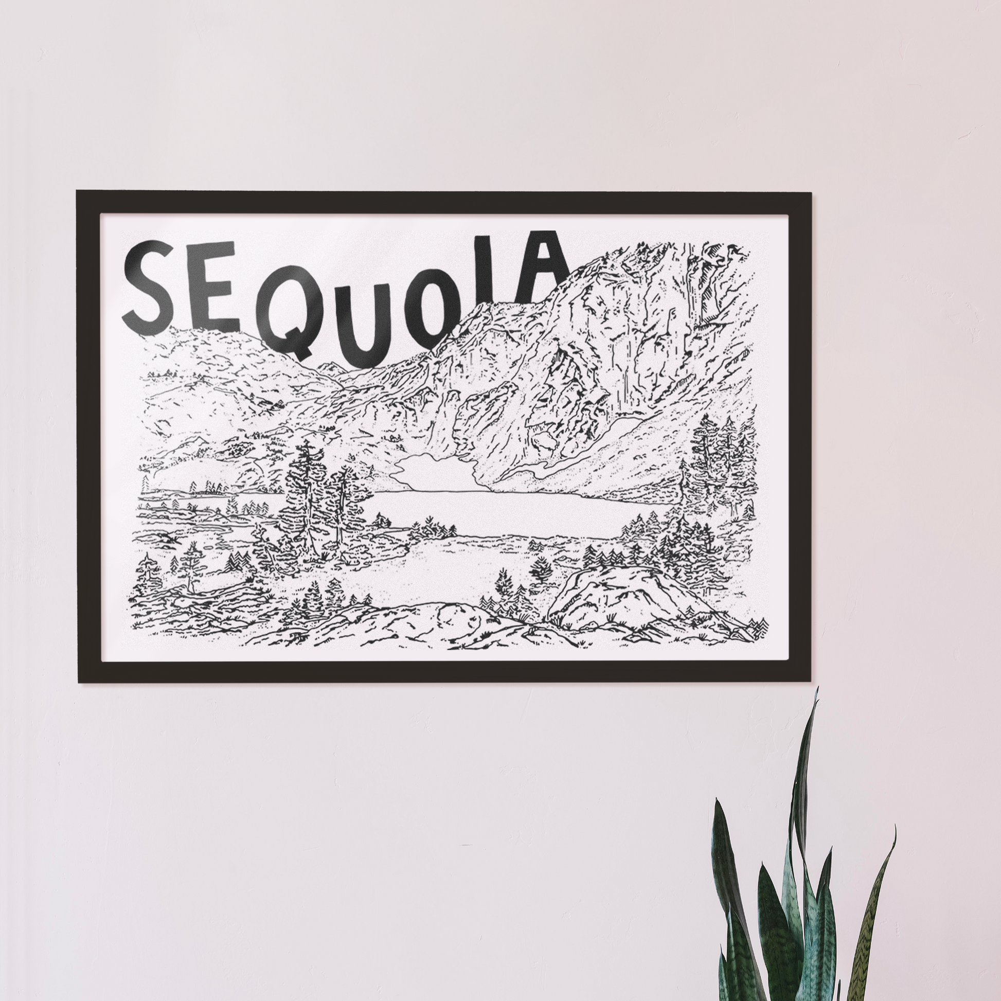 SEQUOIA PRINT