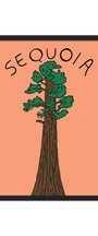 SUNSET IN THE SEQUOIAS PRINT