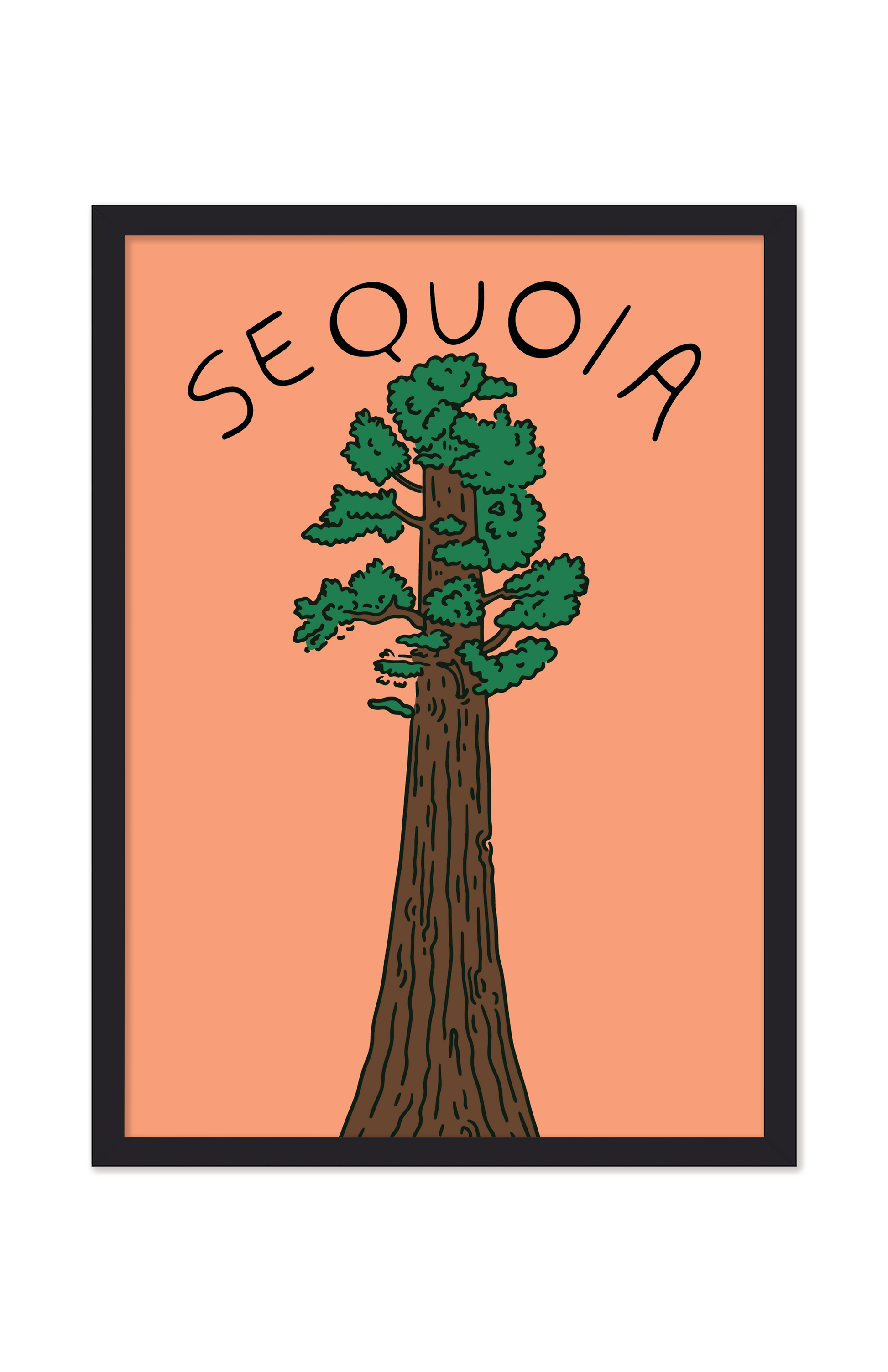 SUNSET IN THE SEQUOIAS PRINT