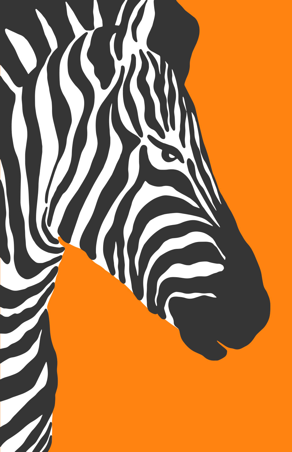 CENTRAL COAST ZEBRA PRINT