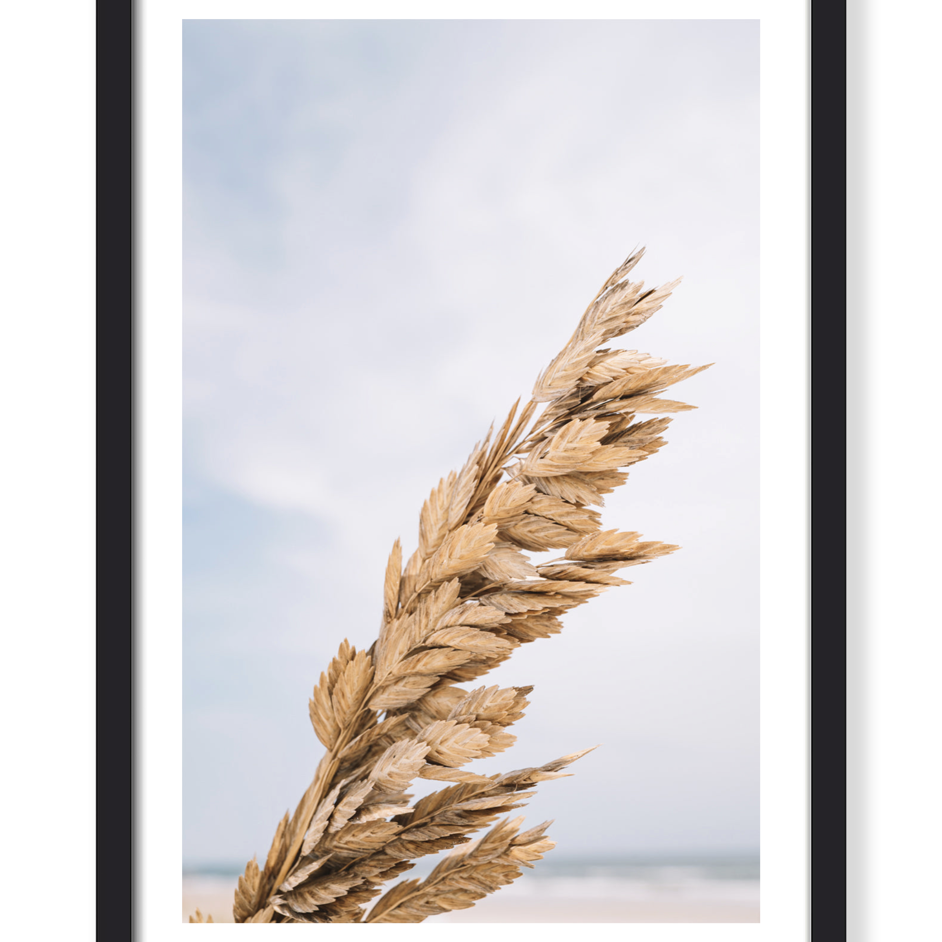 COASTAL BREEZE PRINT