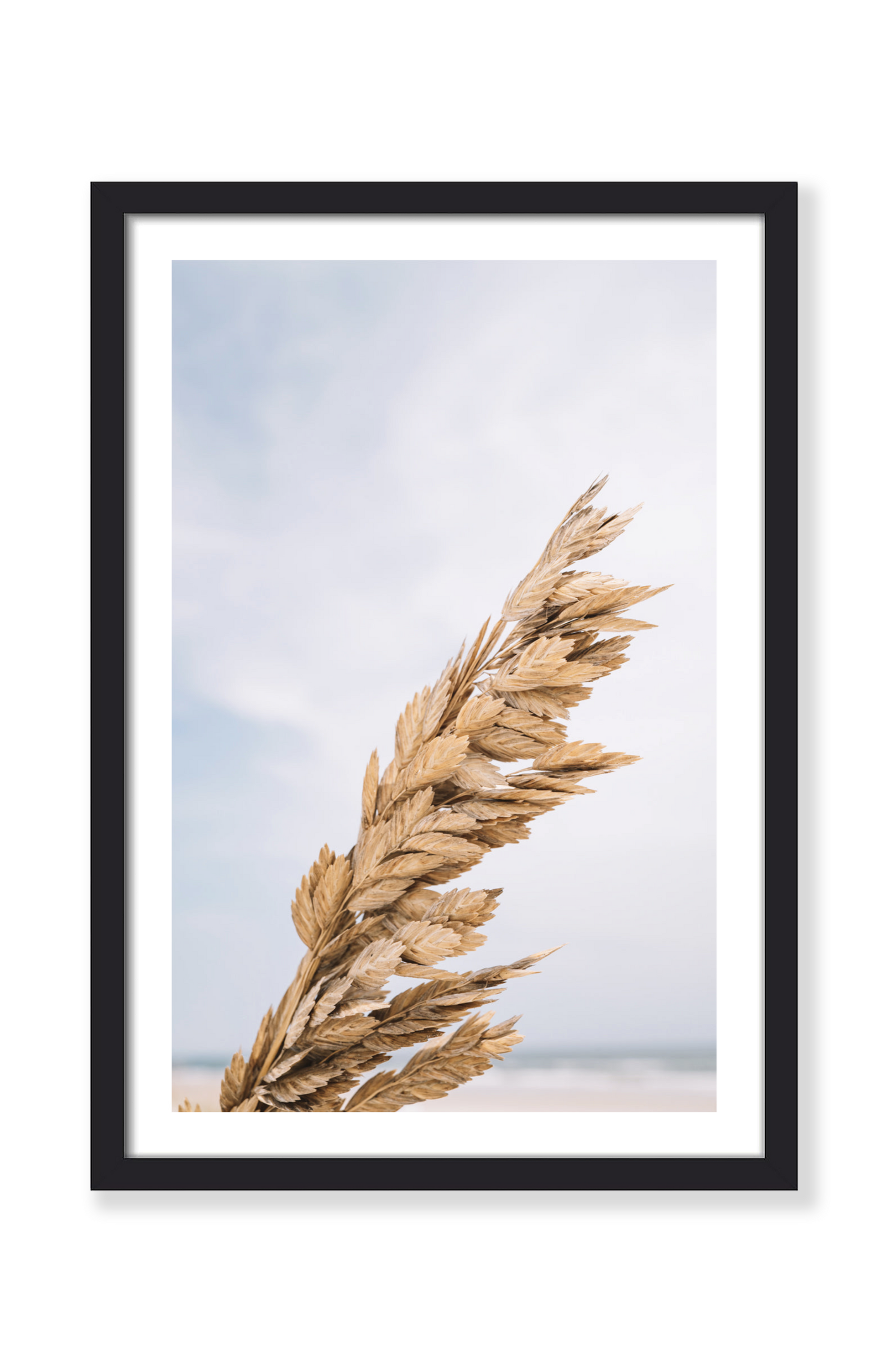 COASTAL BREEZE PRINT