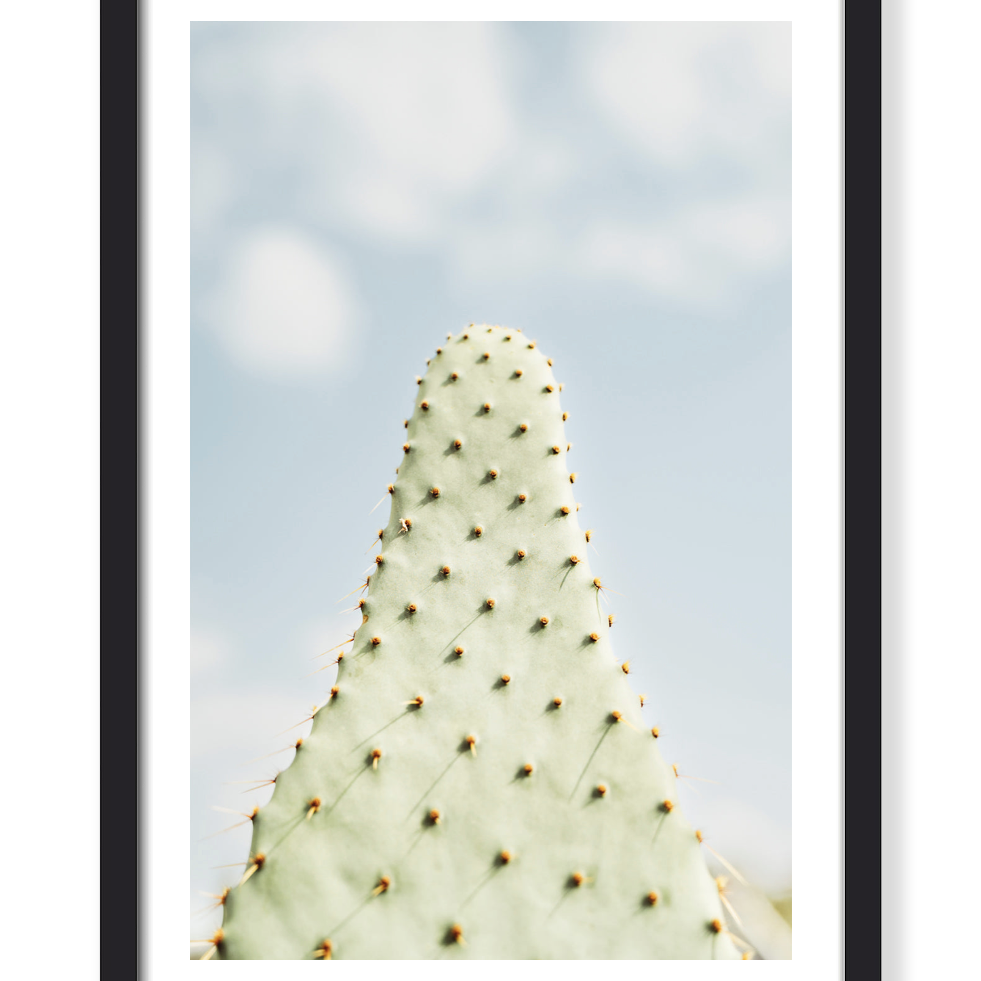 DREAMY CACTUS PRINT