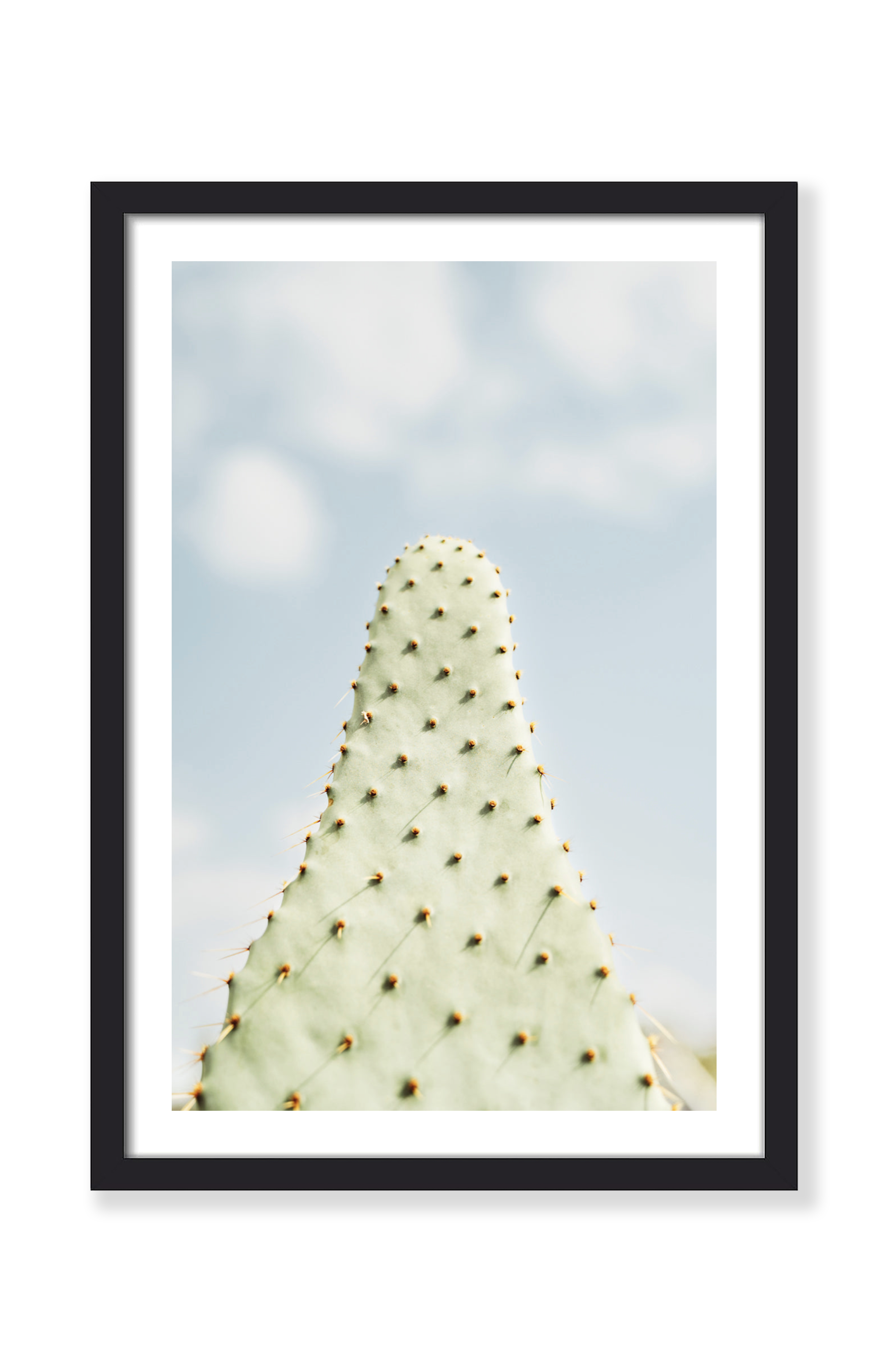 DREAMY CACTUS PRINT