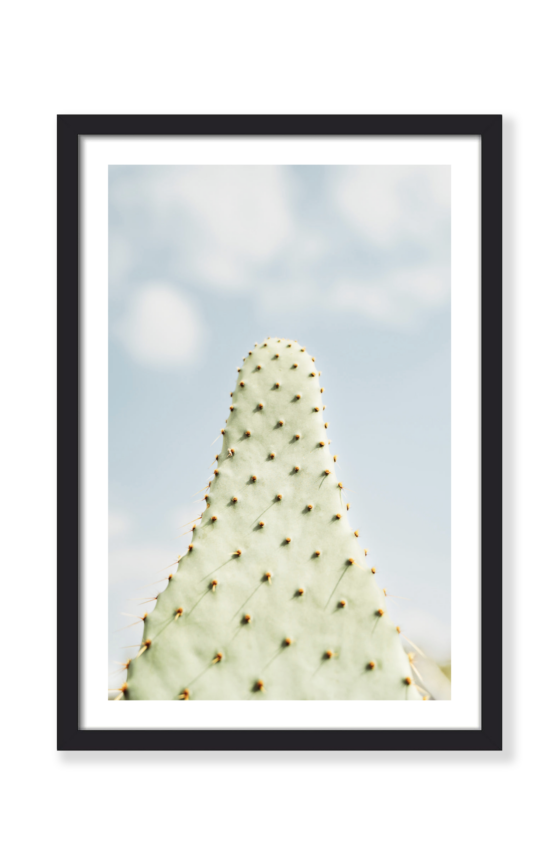 DREAMY CACTUS PRINT