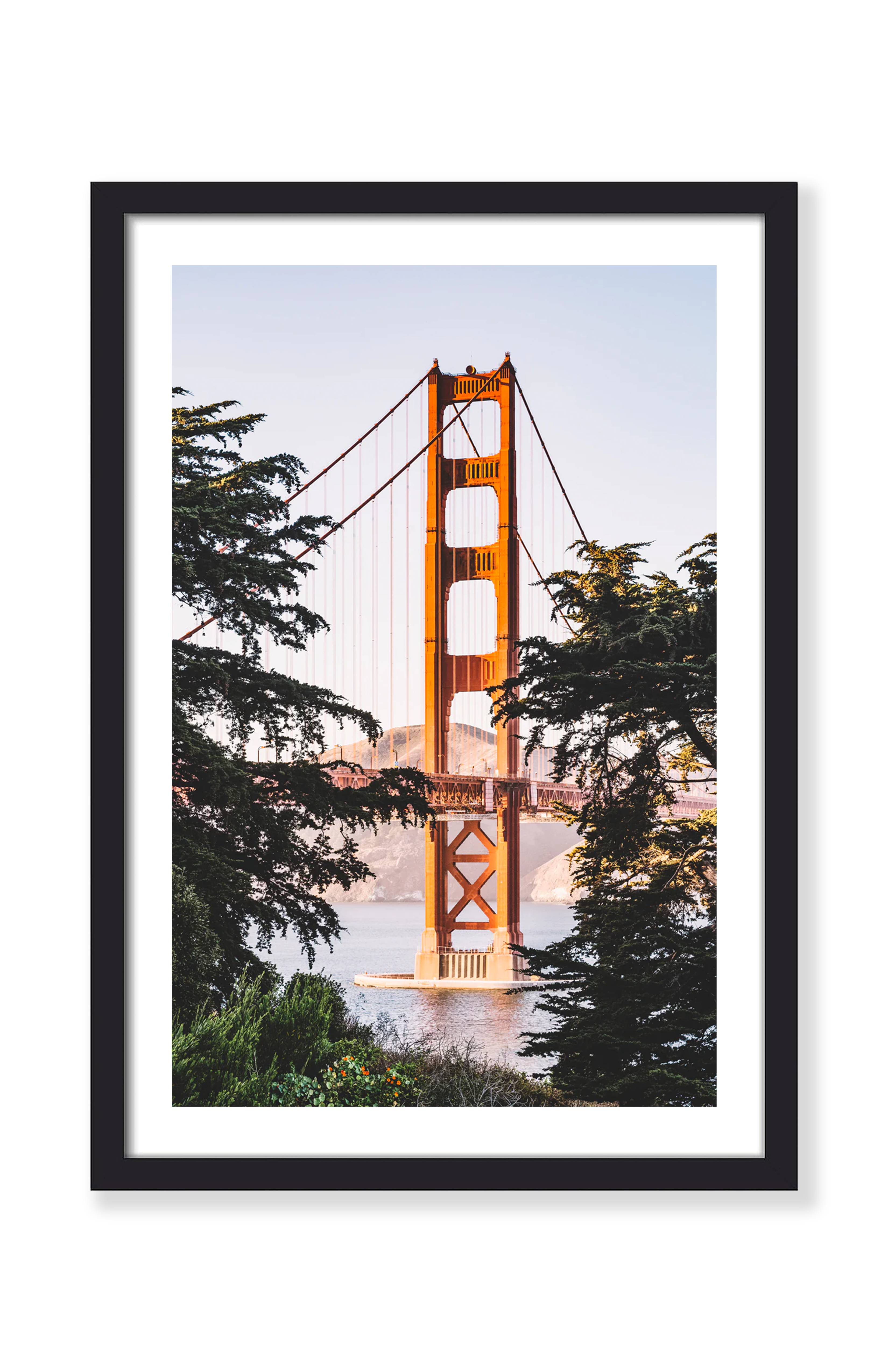 GOLDEN GATE BRIDGE THROUGH THE TREES PRINT