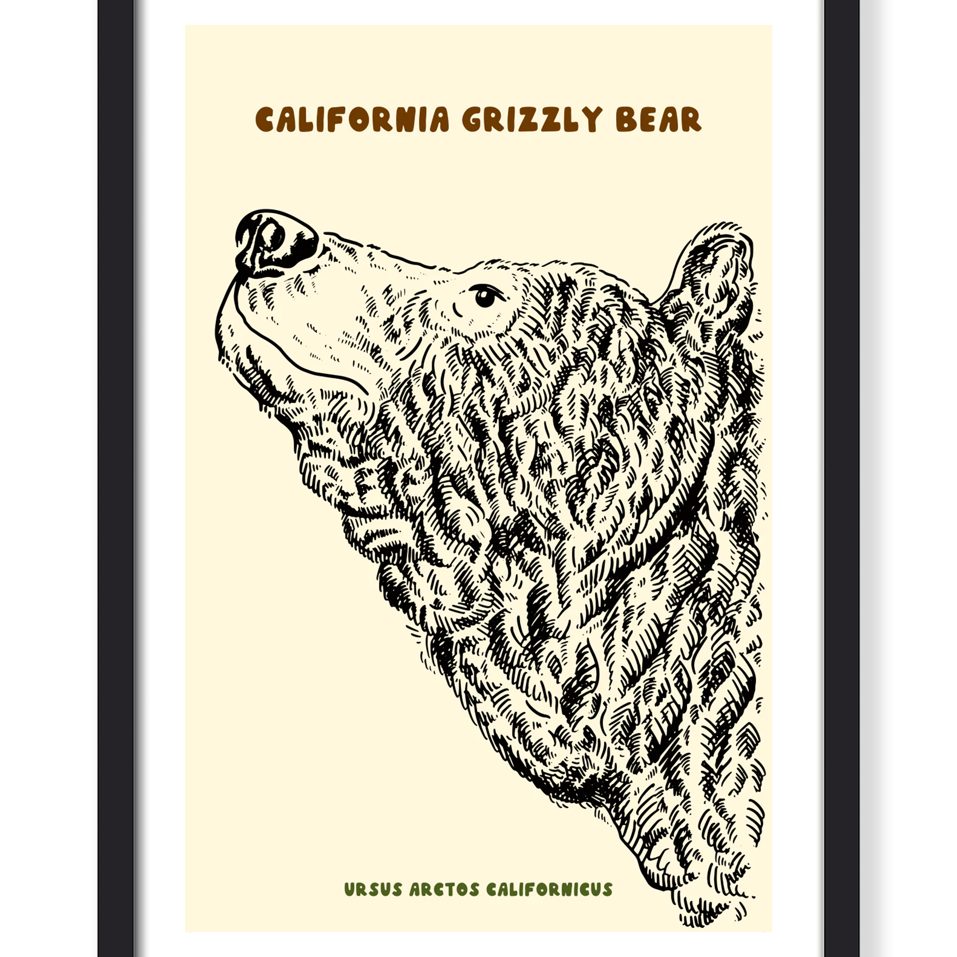 CALIFORNIA GRIZZLY PRINT