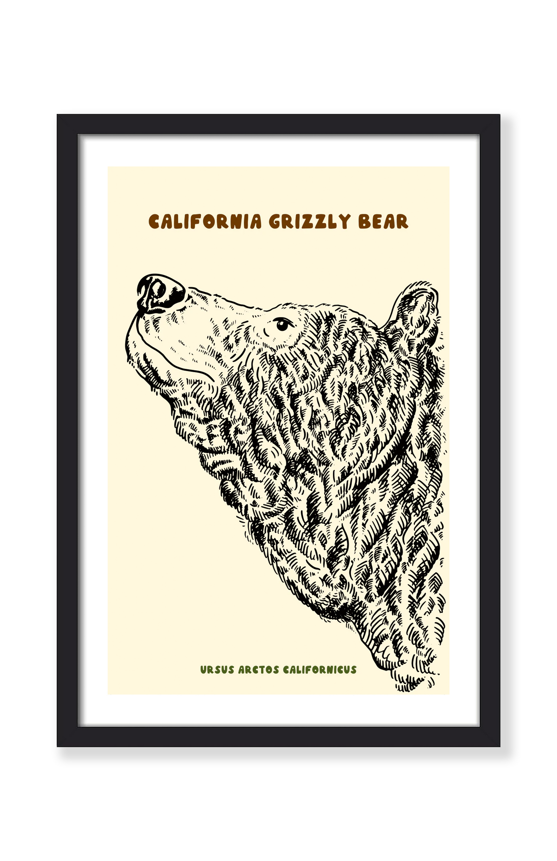 CALIFORNIA GRIZZLY PRINT