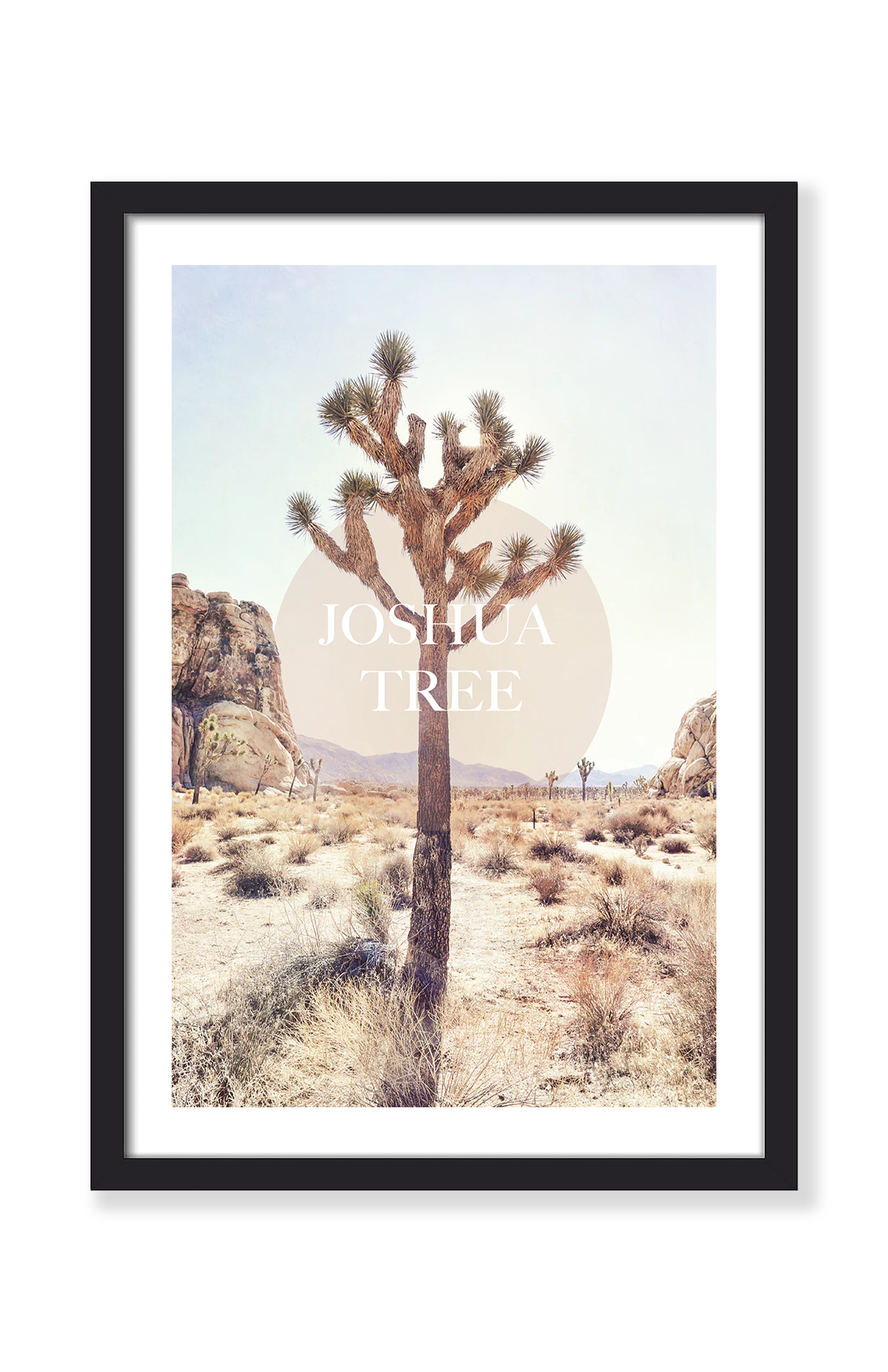 JOSHUA TREE PRINT