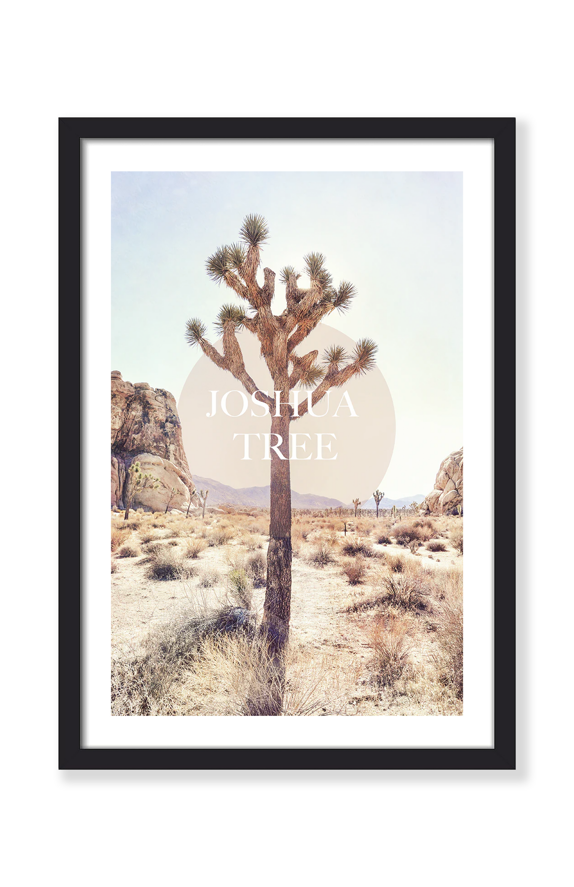 JOSHUA TREE PRINT