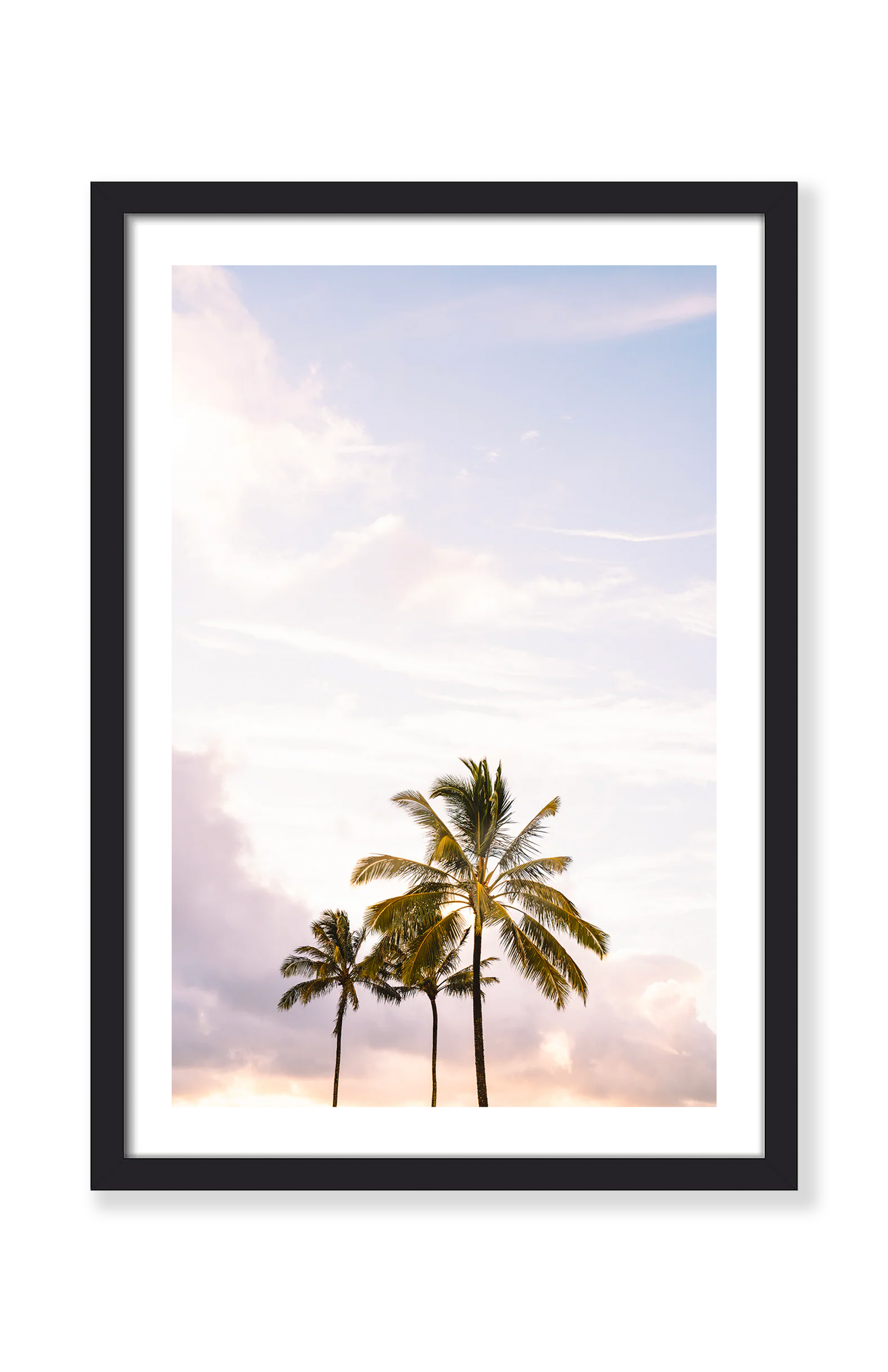 KAUAI PALMS PRINT
