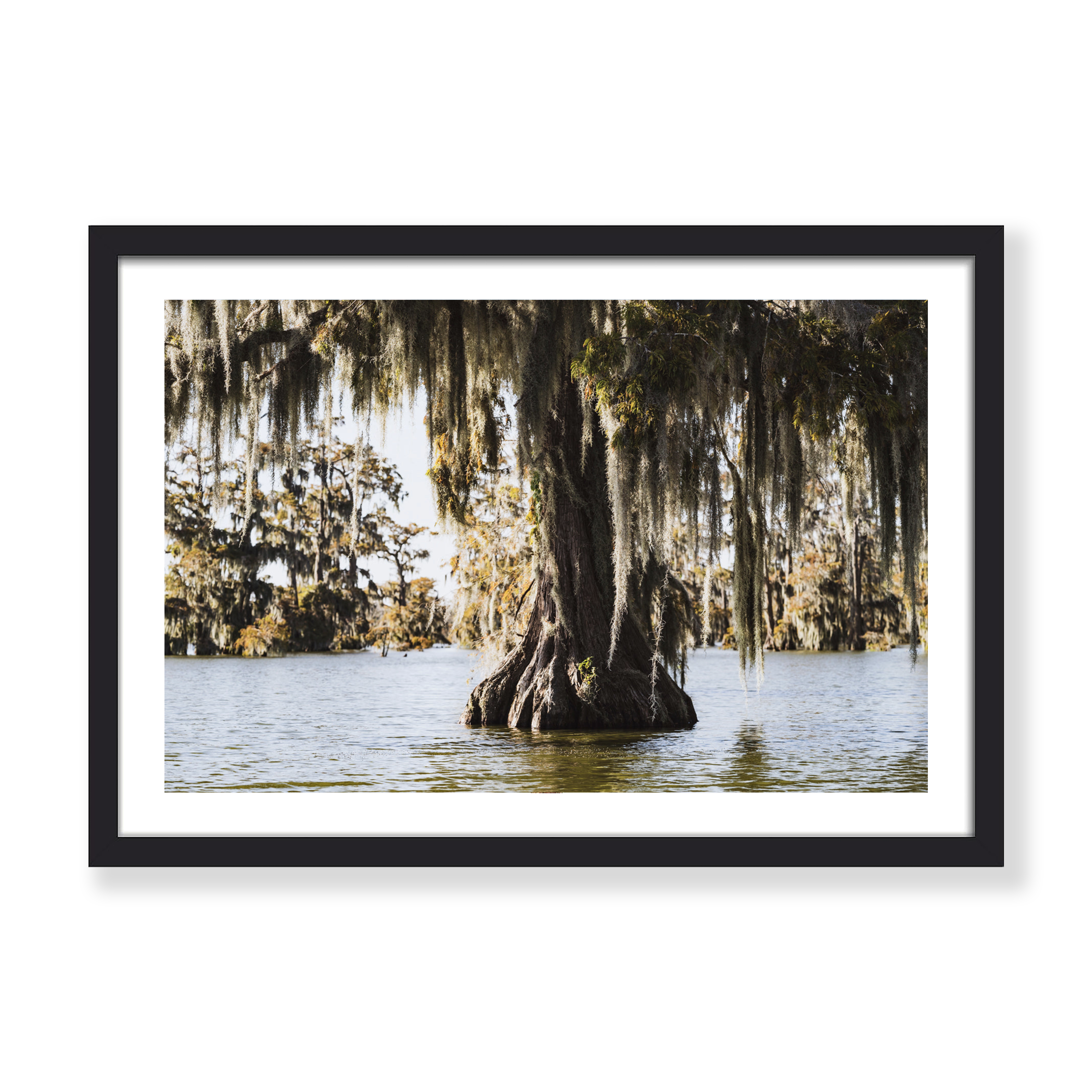 LAKE MARTIN PRINT
