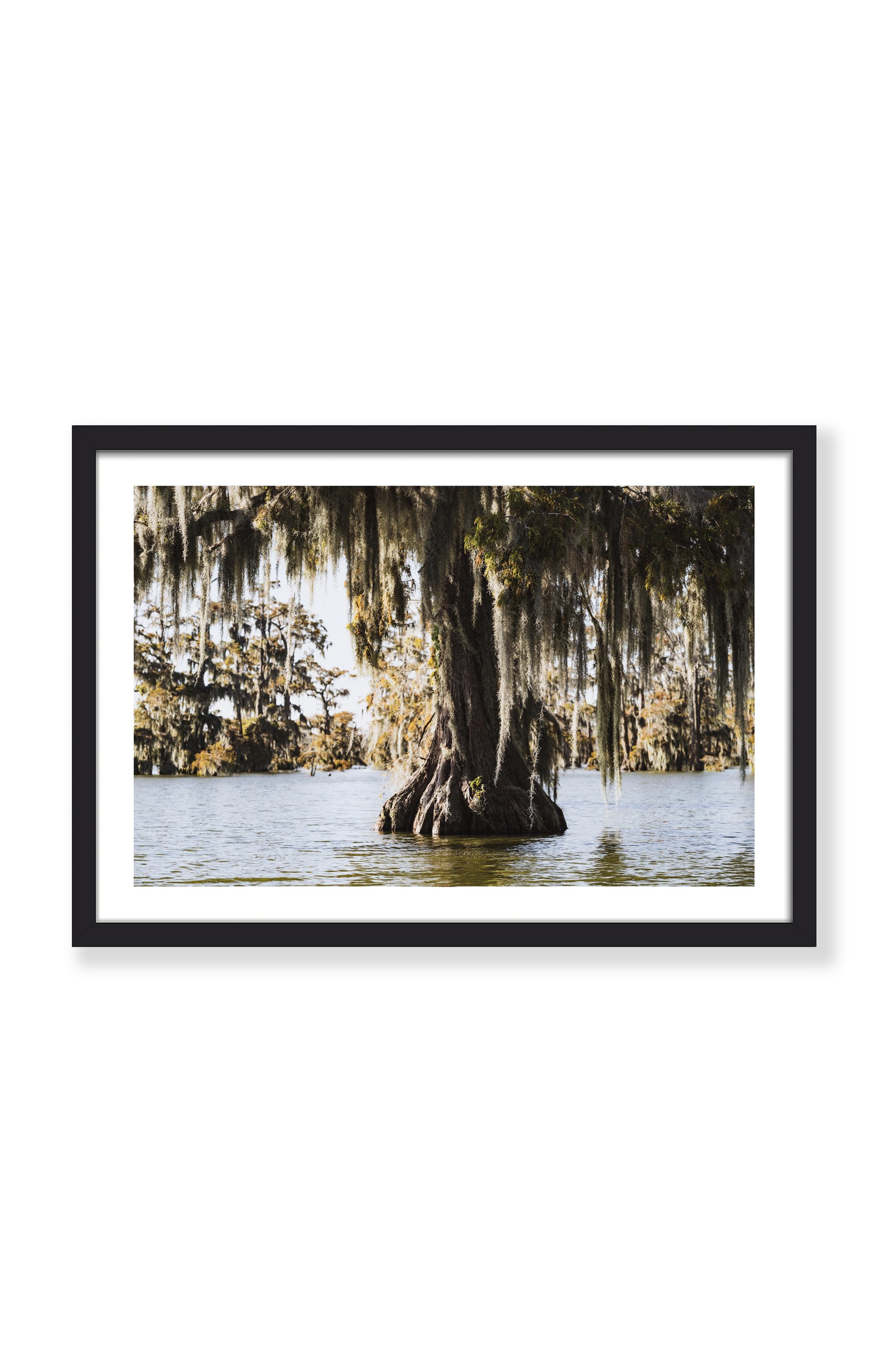 LAKE MARTIN PRINT