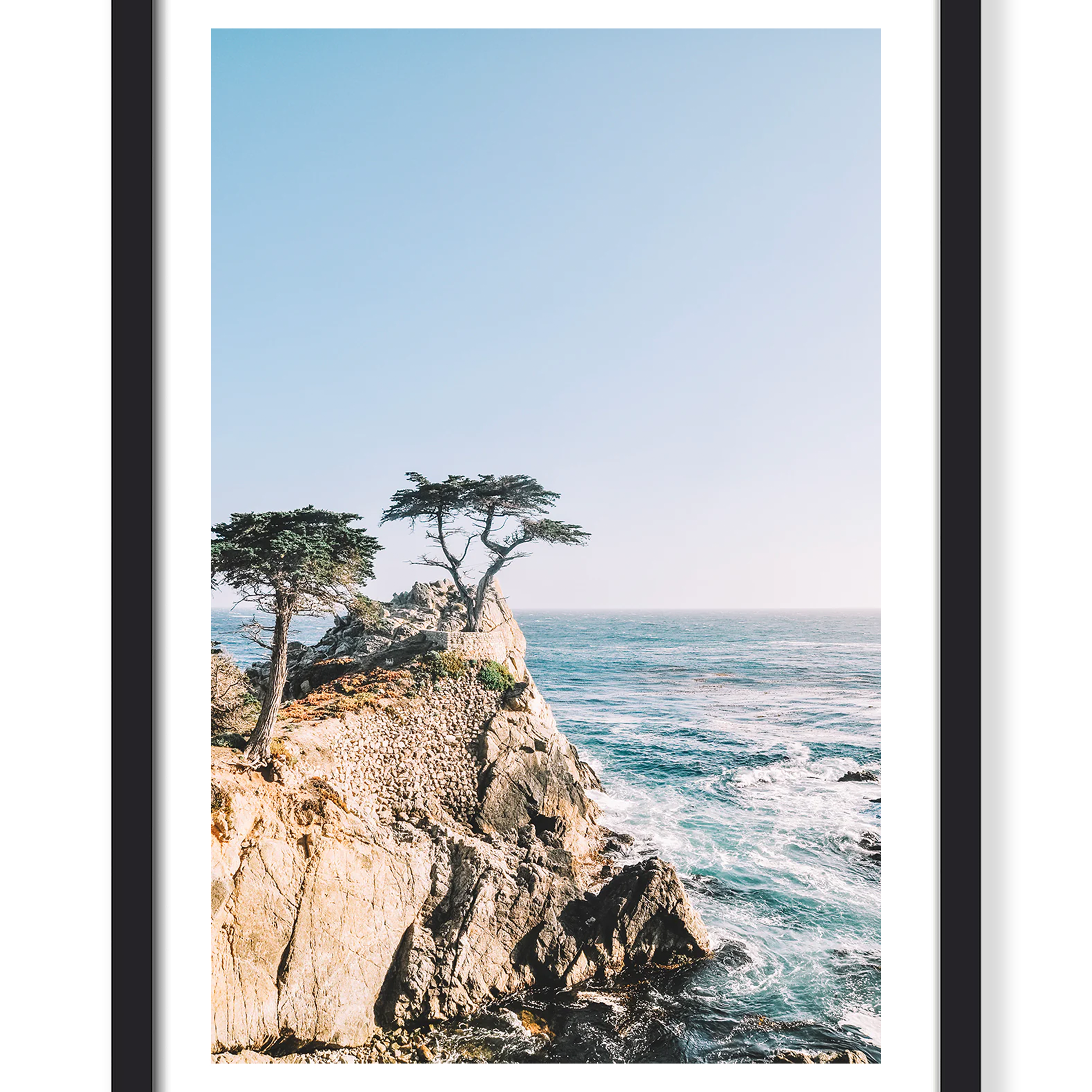 MONTEREY TREE PRINT