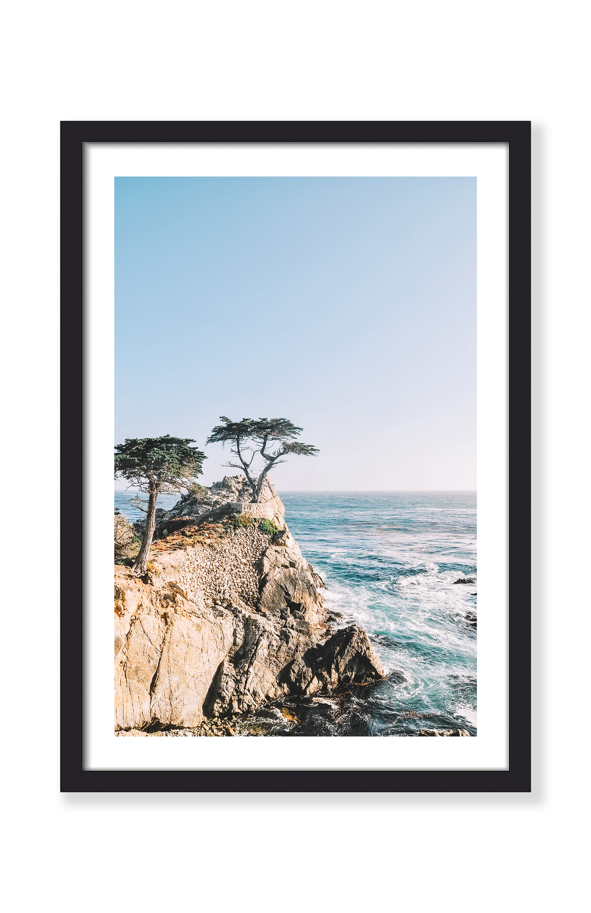 MONTEREY TREE PRINT