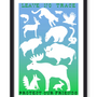 NATIONAL PARK ANIMALS PRINT