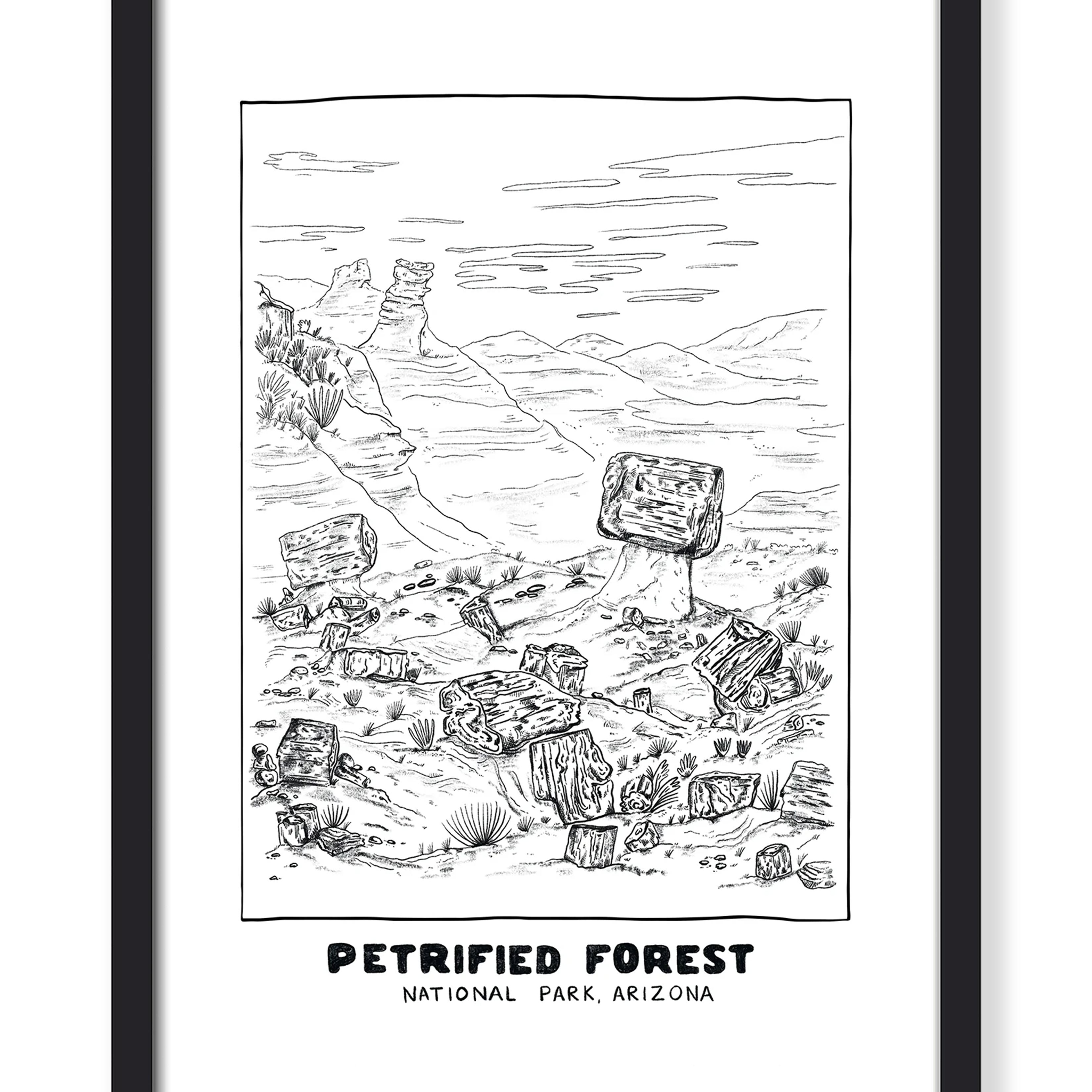 PETRIFIED FOREST PRINT