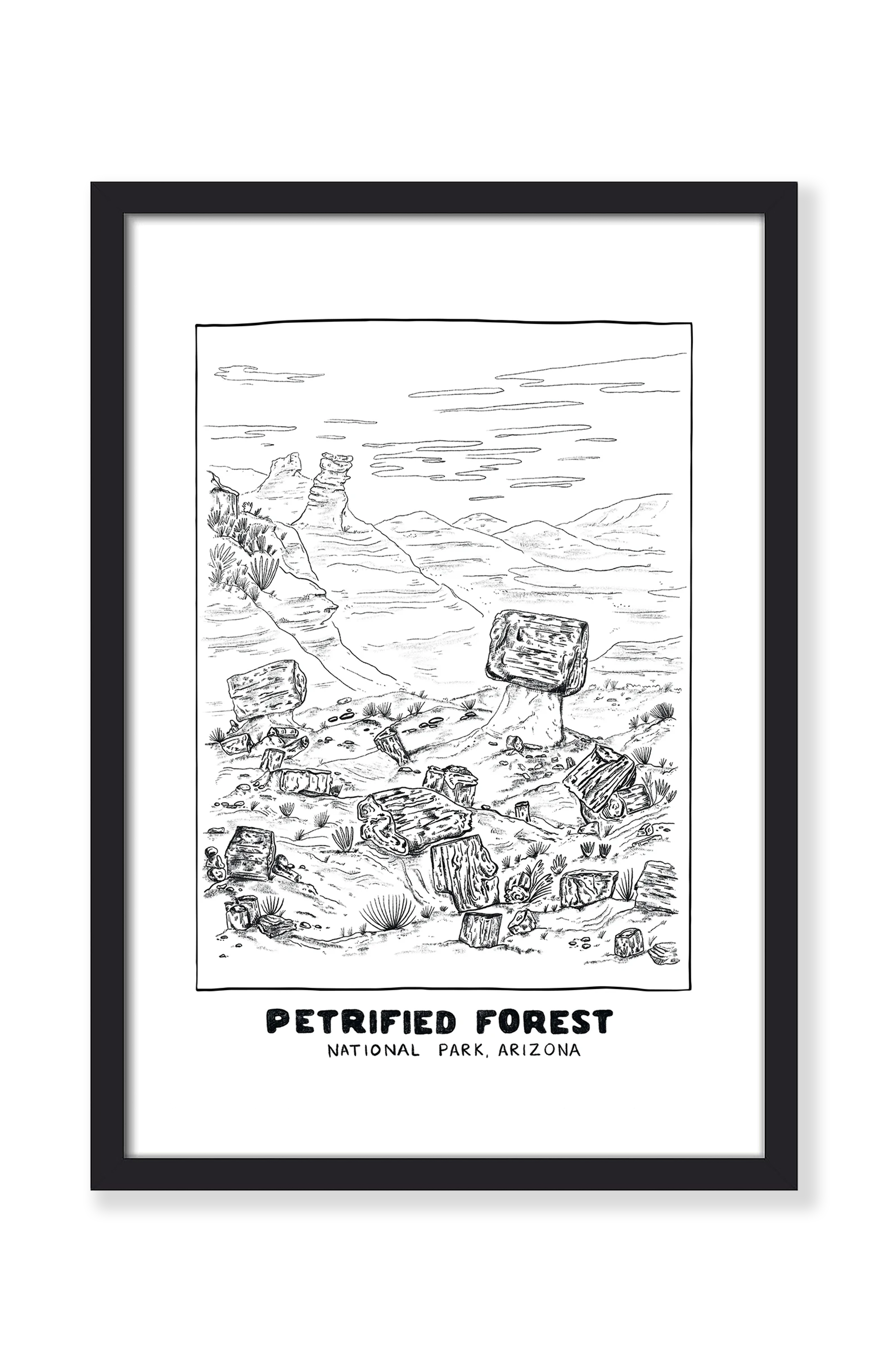 PETRIFIED FOREST PRINT
