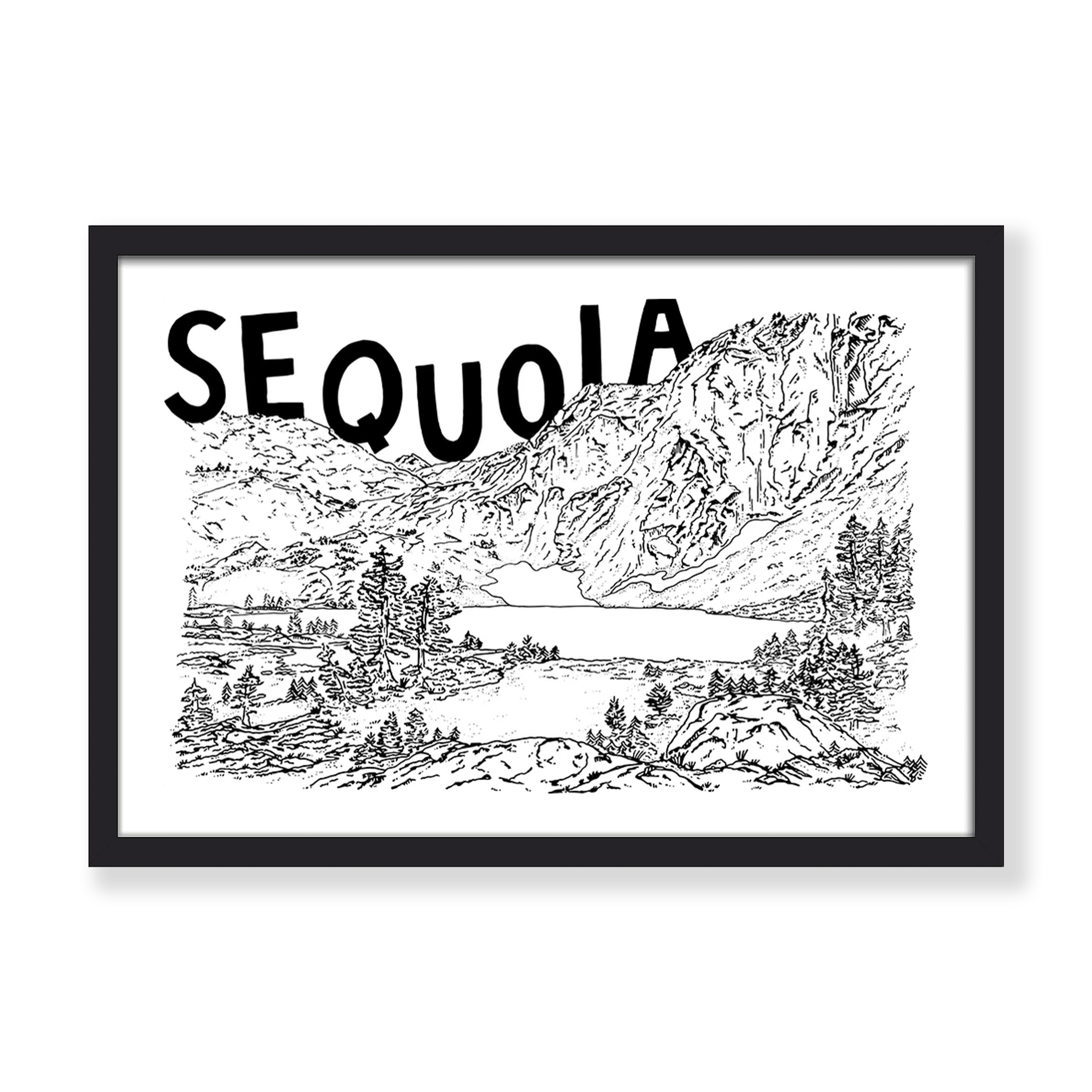 SEQUOIA PRINT
