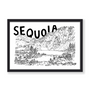 SEQUOIA PRINT