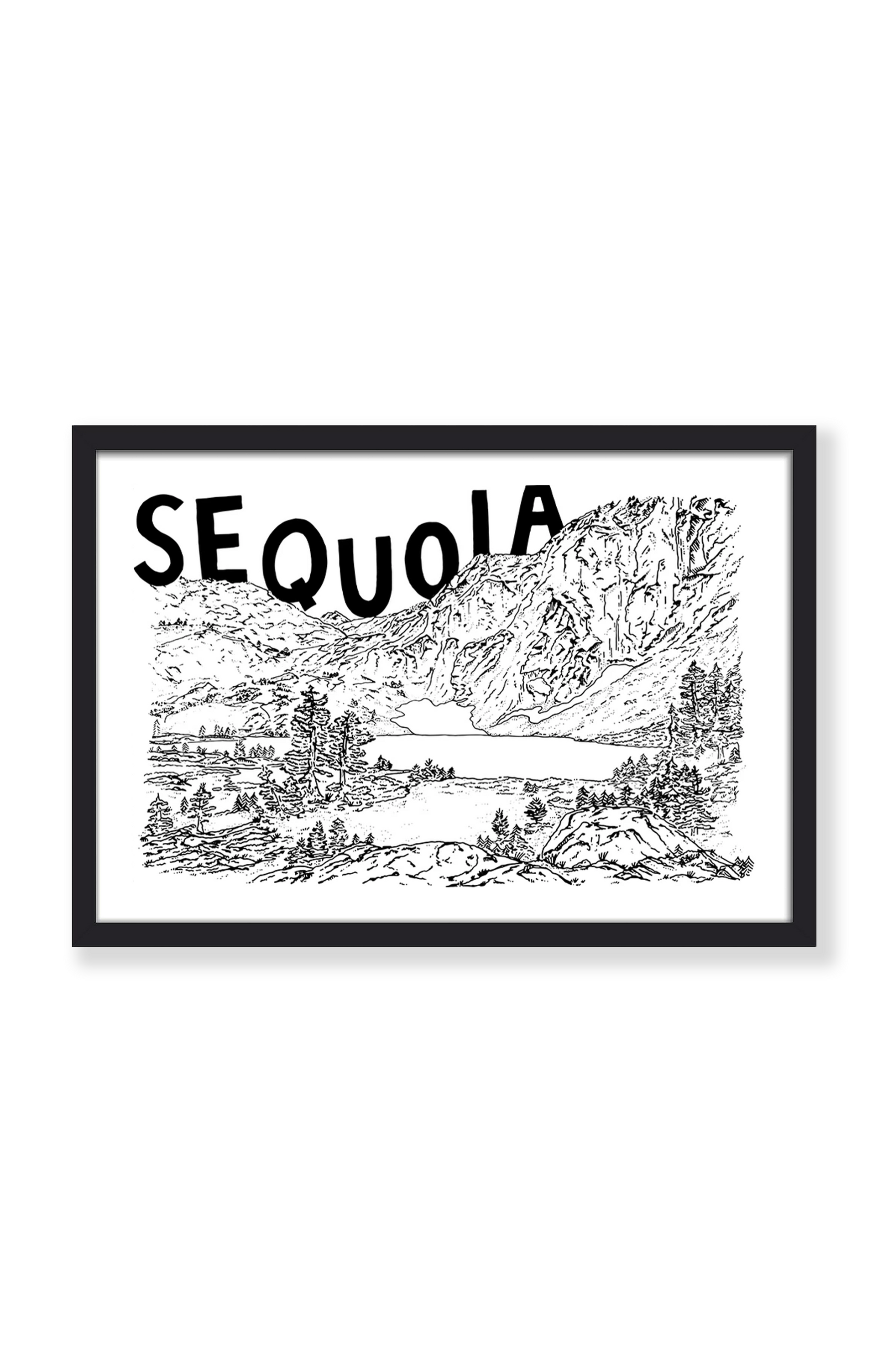 SEQUOIA PRINT