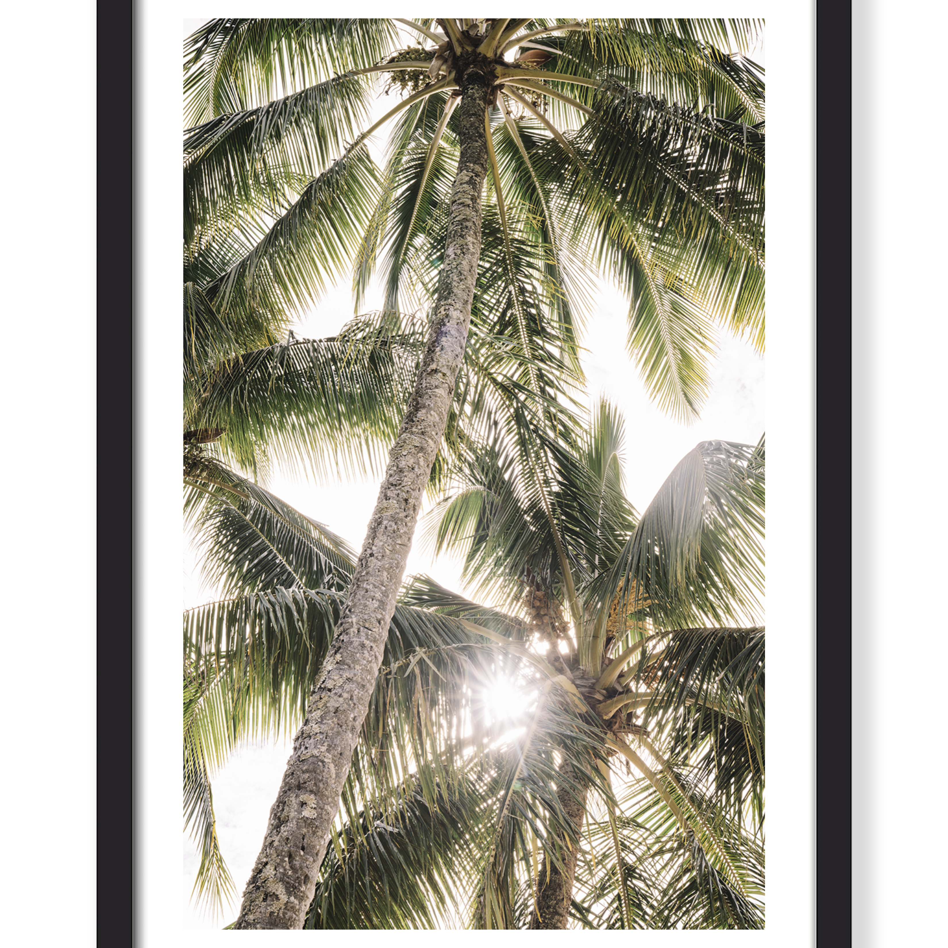 TROPICAL PALMS PRINT