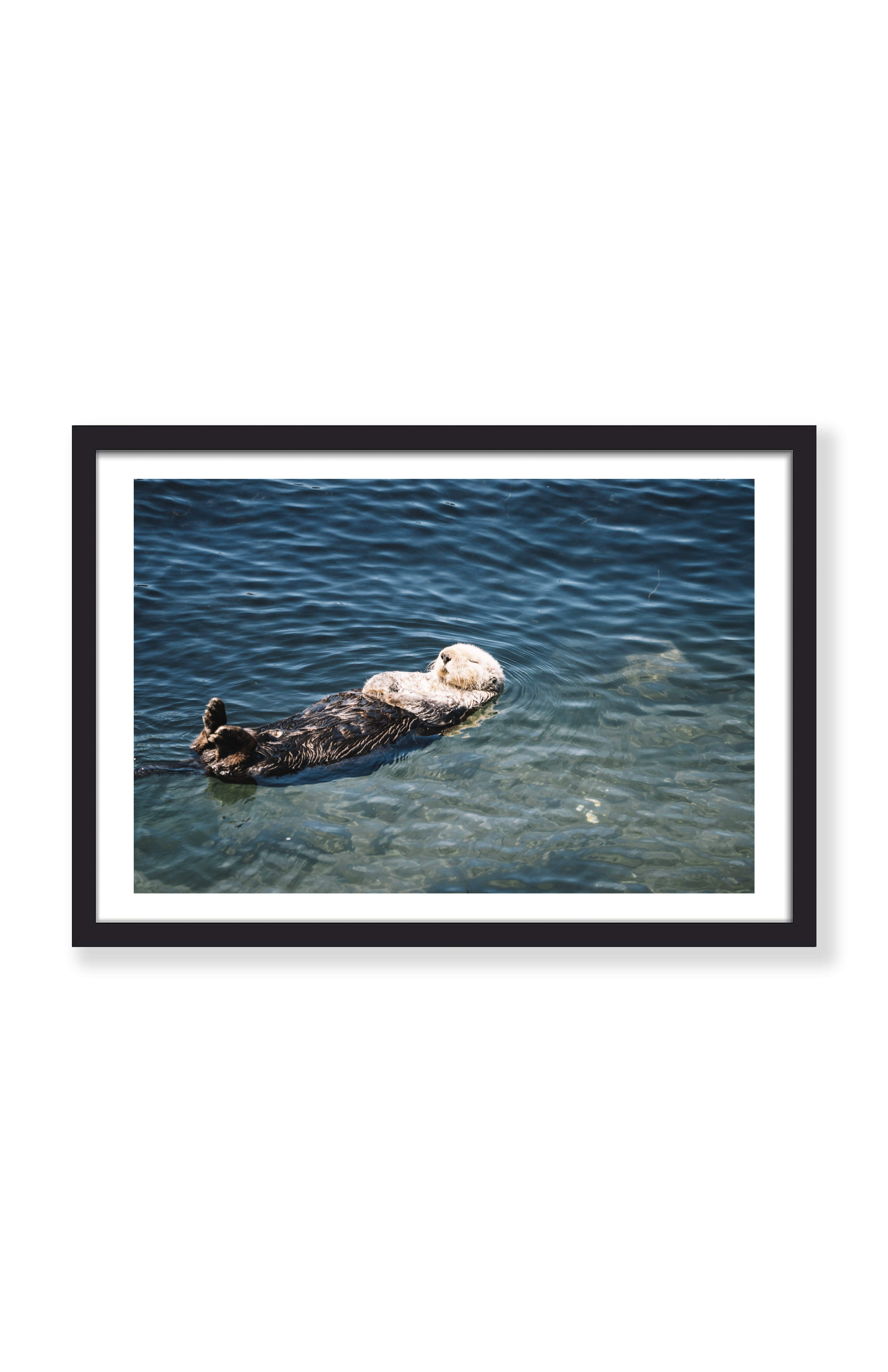 FLOATING ALONG - Photography Print - Buen Dia