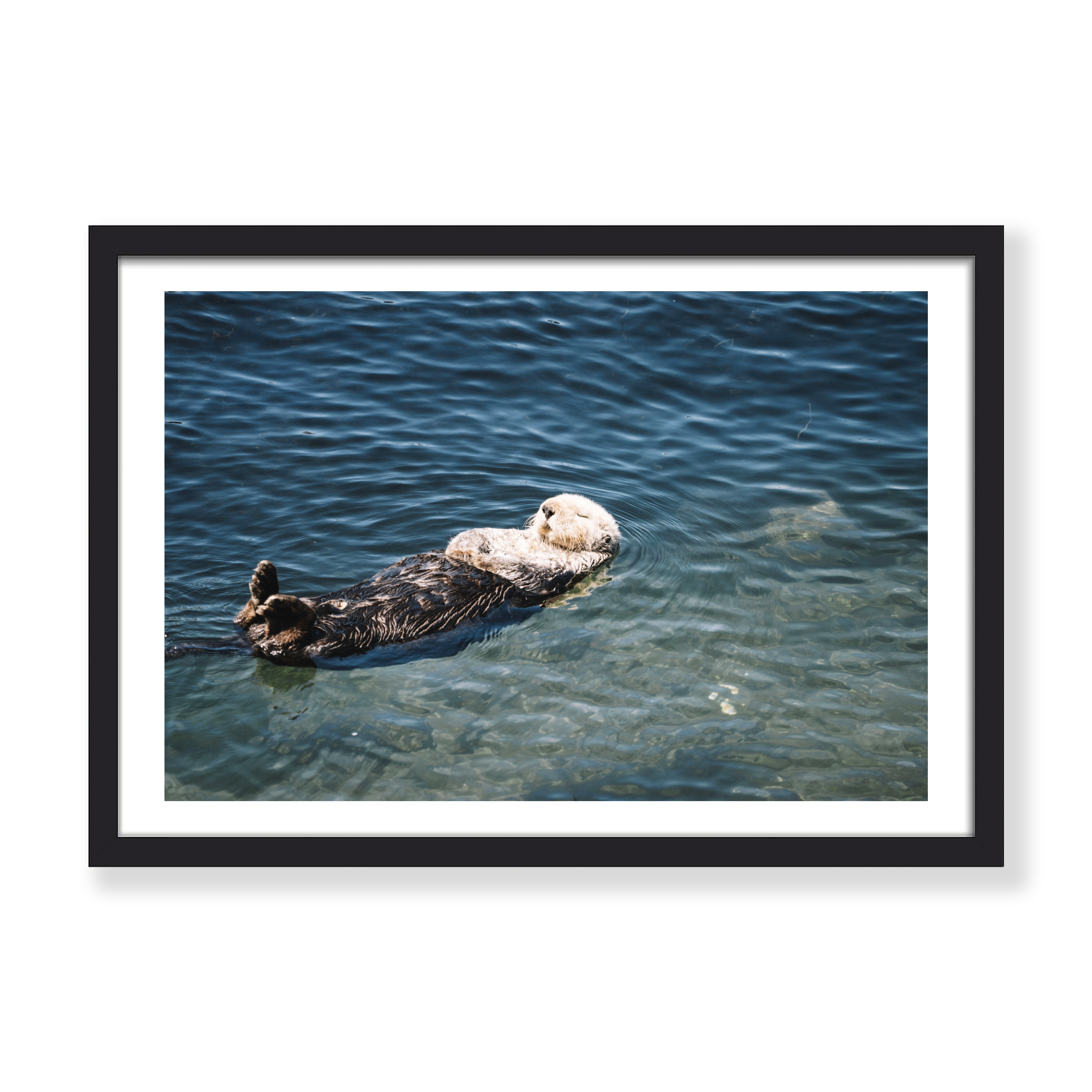 FLOATING ALONG PRINT