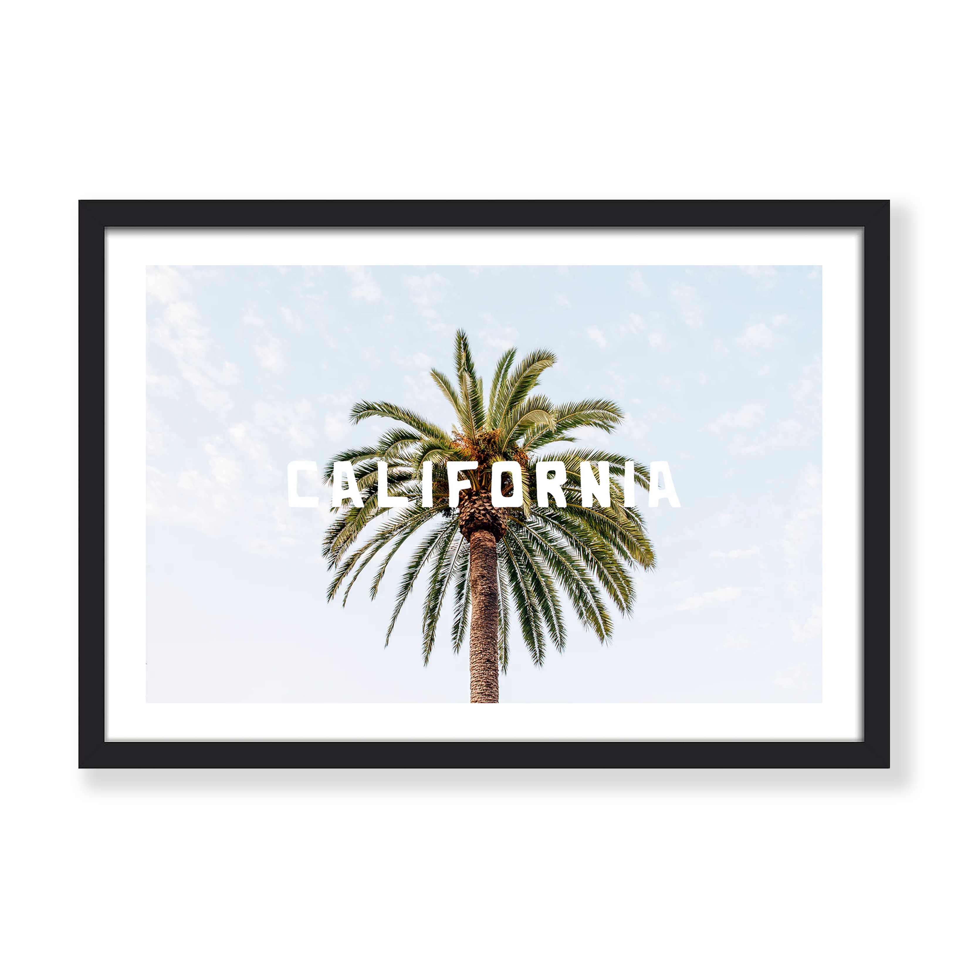 CALIFORNIA PALM TREE PRINT