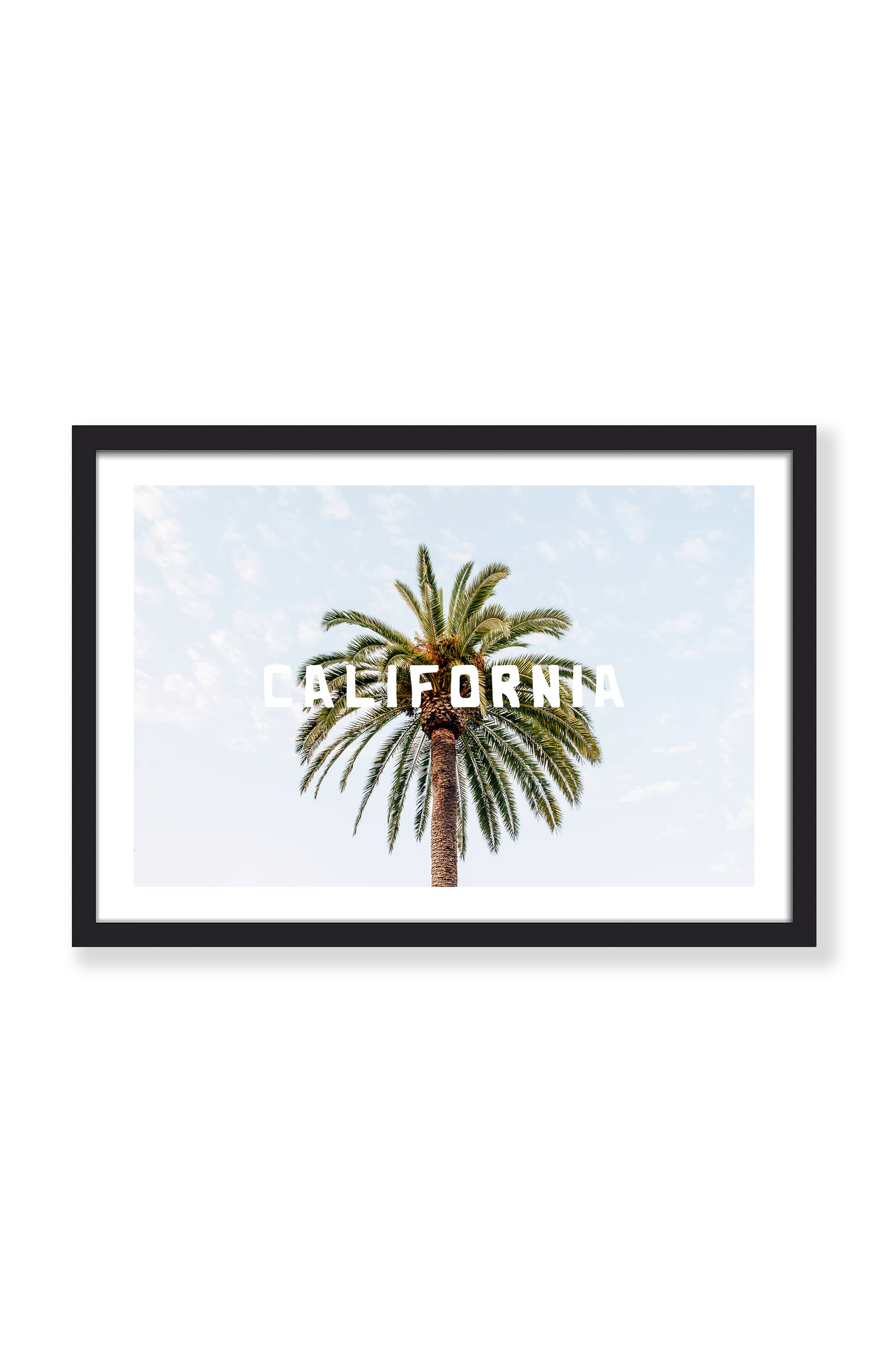 CALIFORNIA PALM TREE PRINT