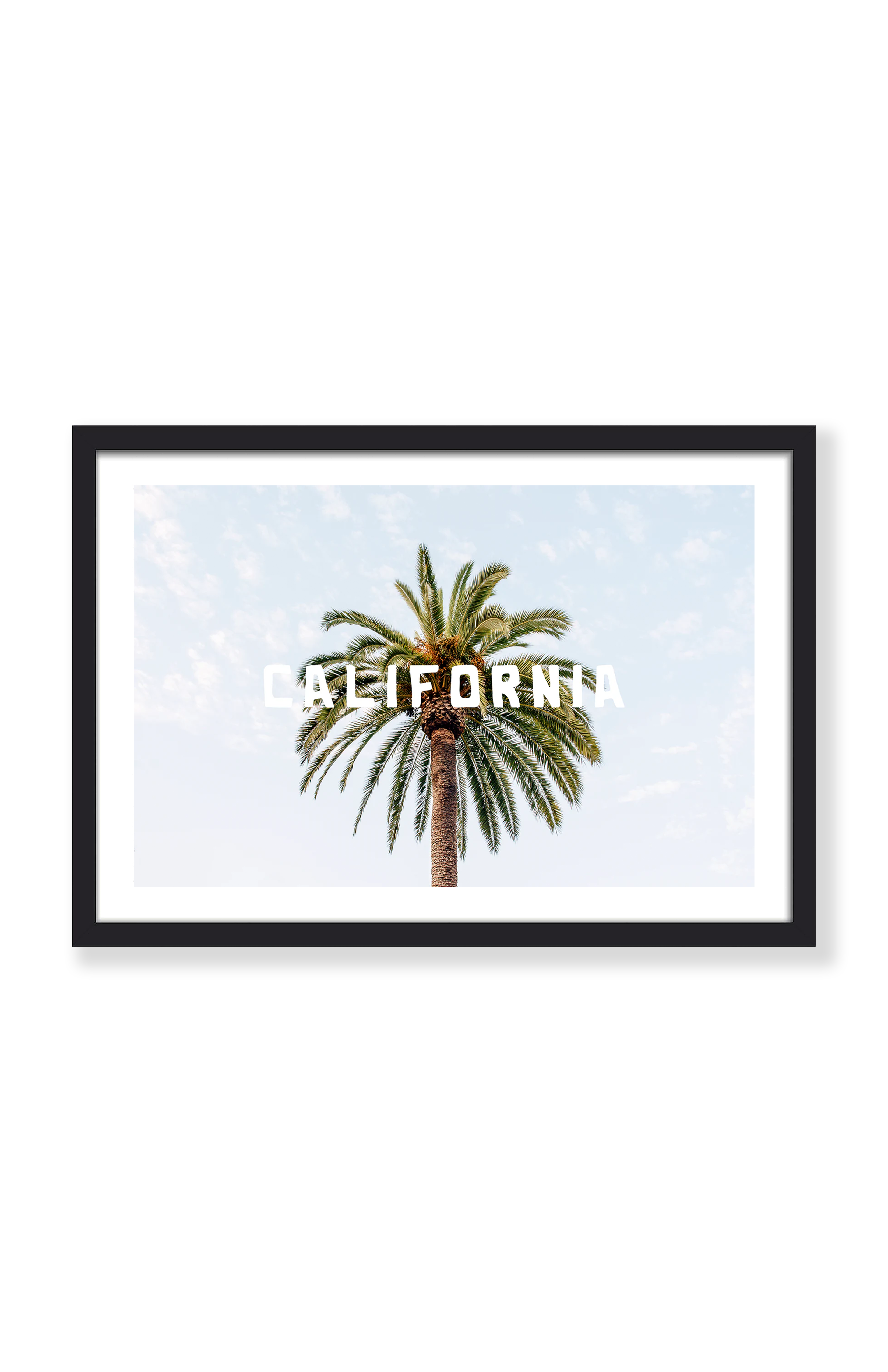 CALIFORNIA PALM TREE PRINT