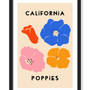 CALIFORNIA POPPIES PRINT
